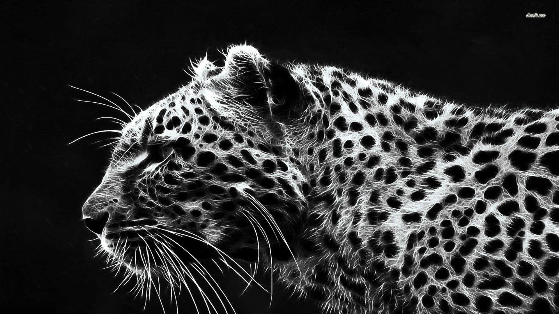 White Leopard Wallpaper - Wallpaper Collection