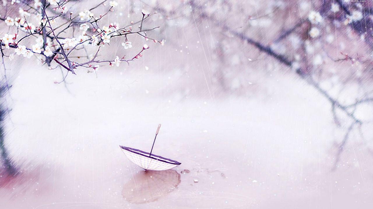 1280x720 Umbrella Wallpaper, Amazing 34 Wallpaper of Umbrella, Top Umbrella