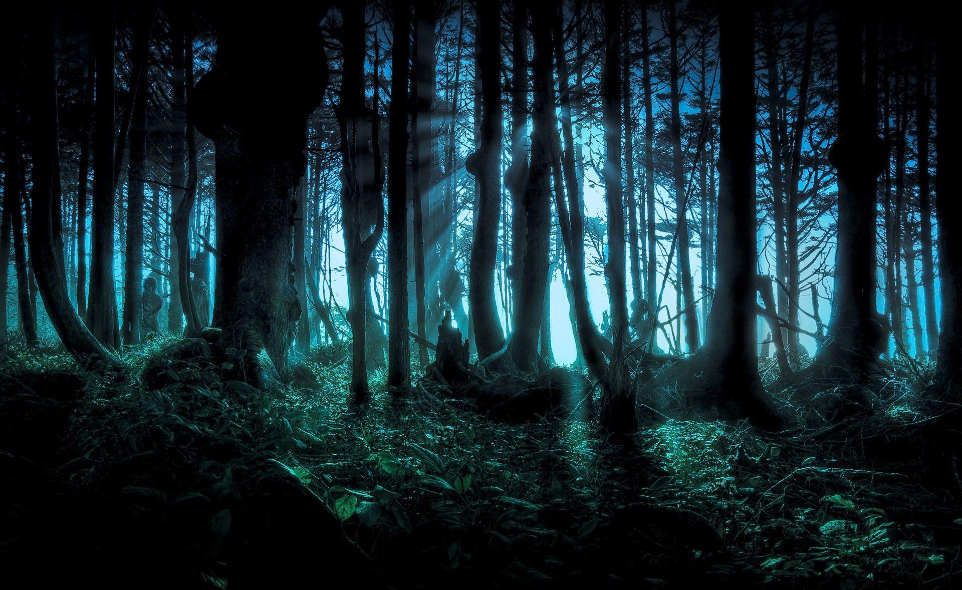 Hình nền 1920x1178 Dark Creepy Forest