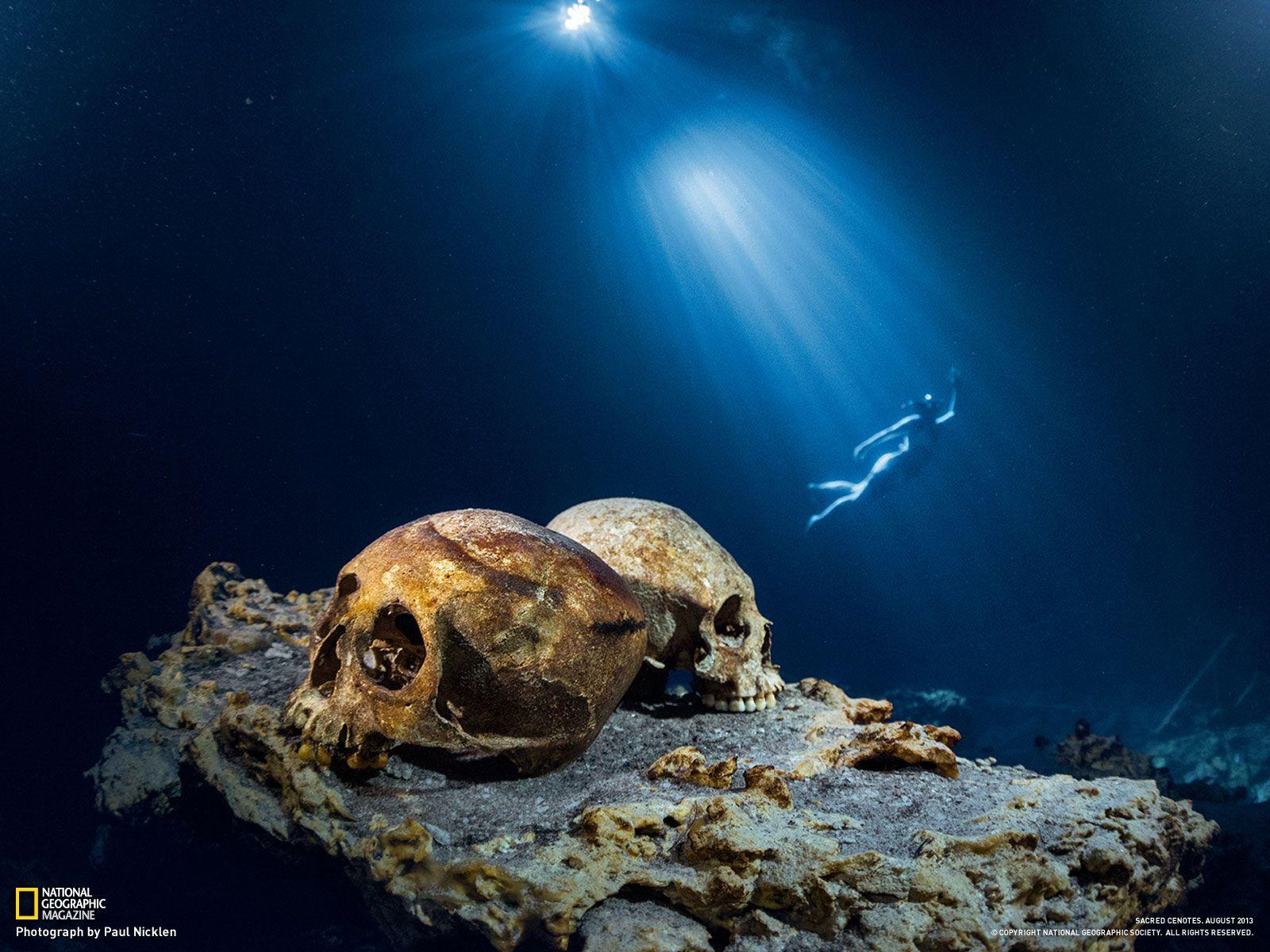 1600x1200 National geographic wallpaper