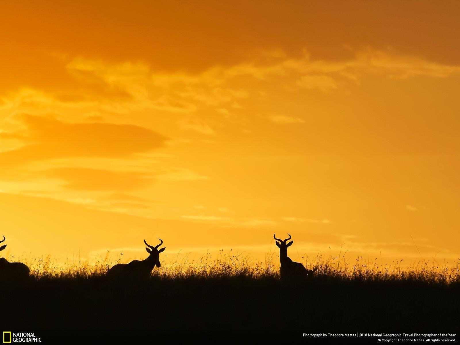 1600x1200 National geographic's Travel Photographer of the year 2018