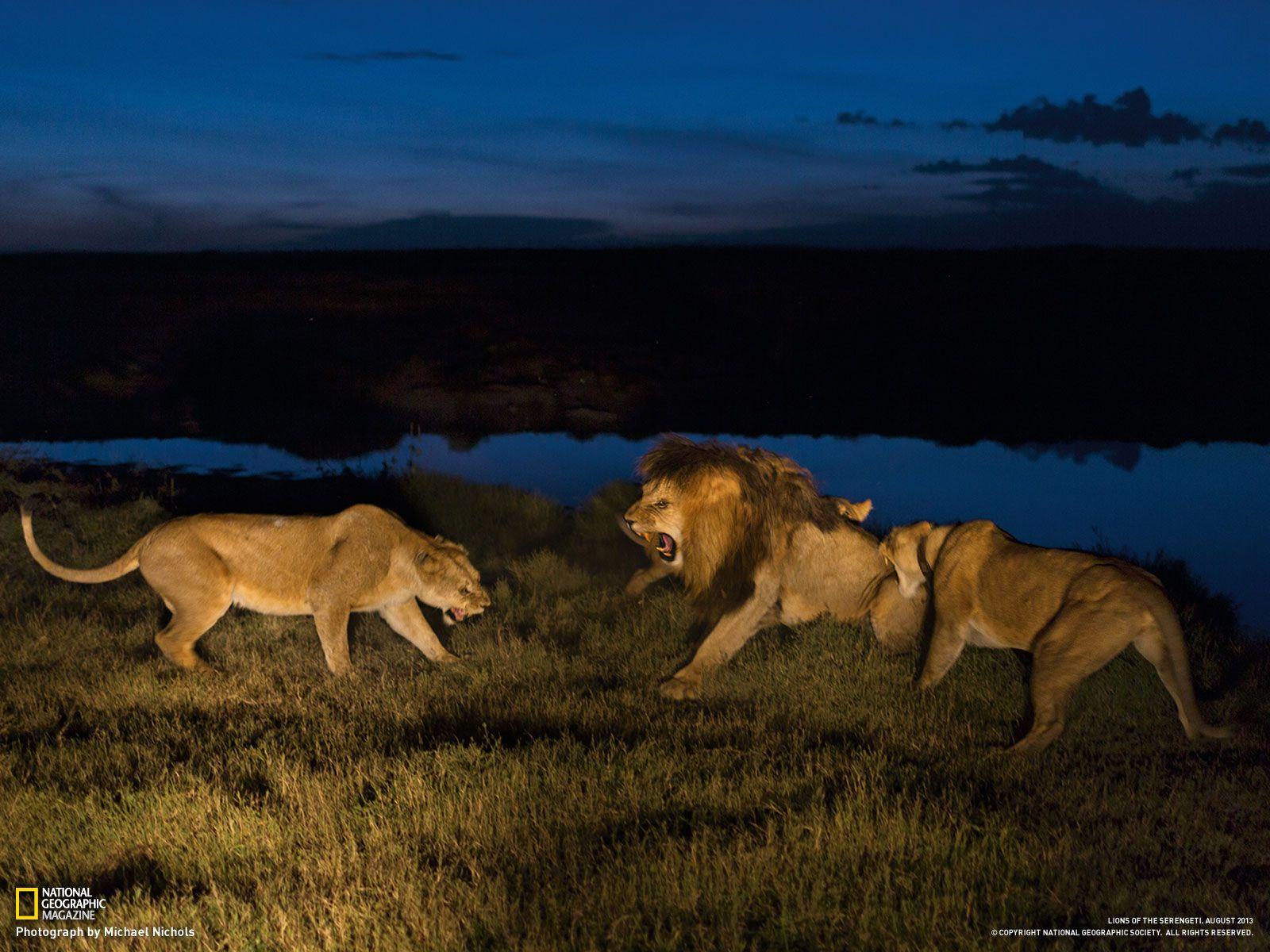 1600x1200 national geographic magazine wallpaper