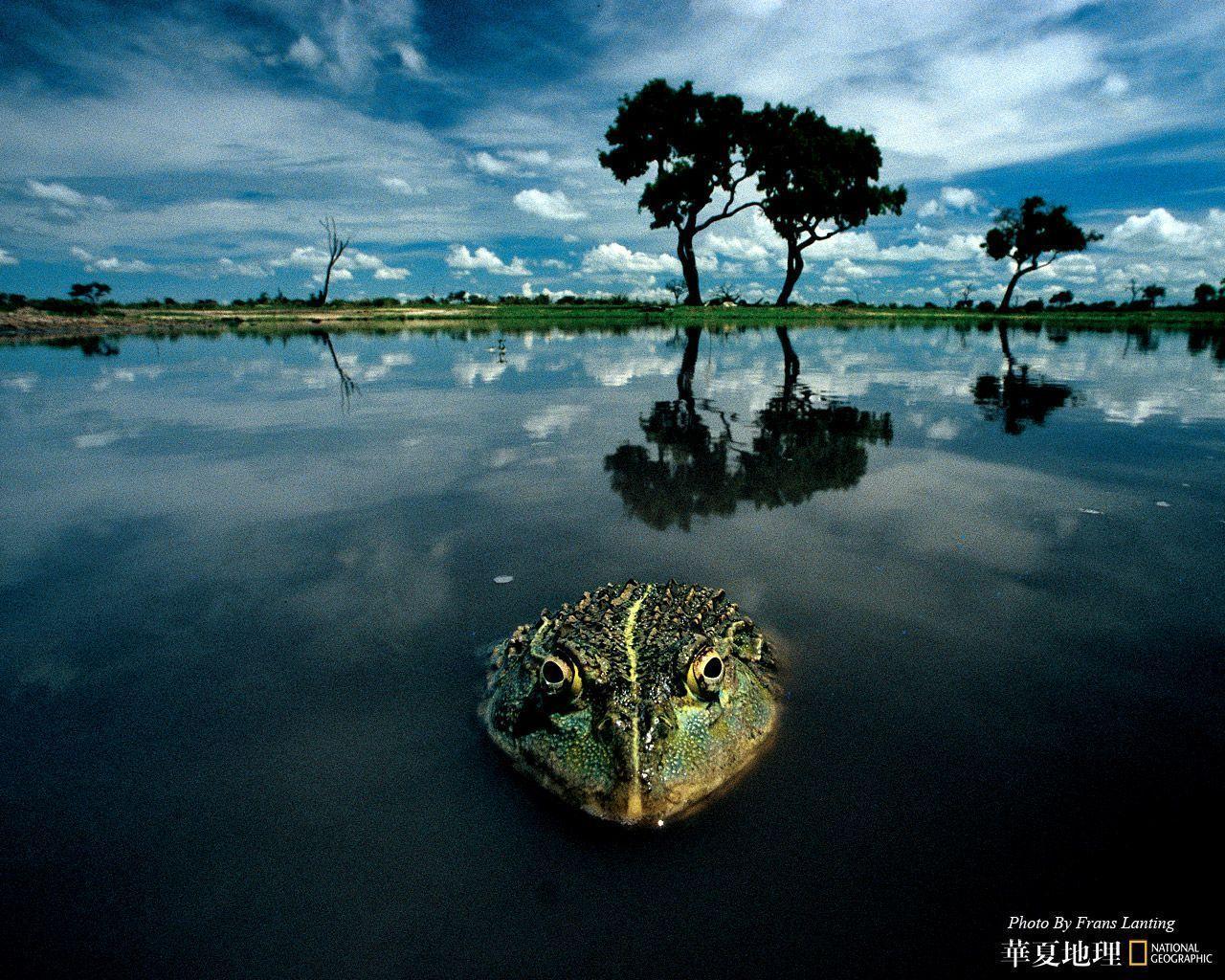 1280x1024 National Geographic Desktop HD Wallpaper