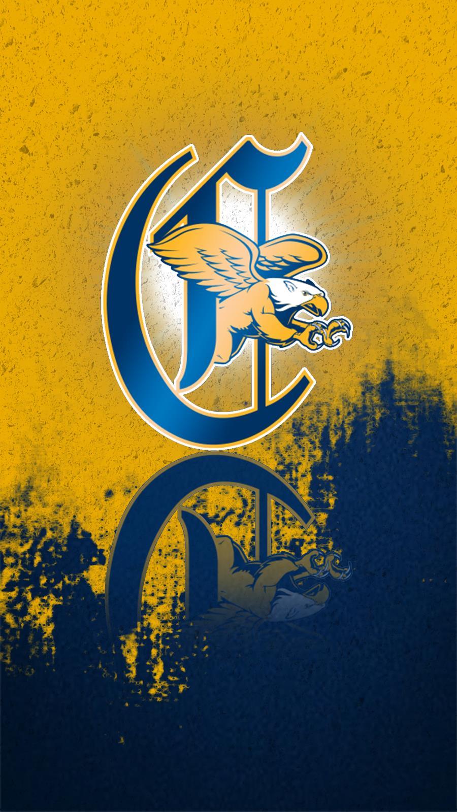 900x1600 Phone Wallpaper College Athletics