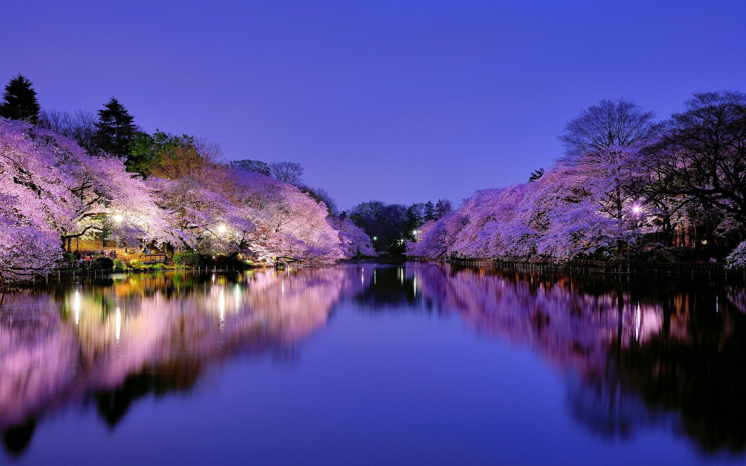 2560x1600 Japanese Desktop Background