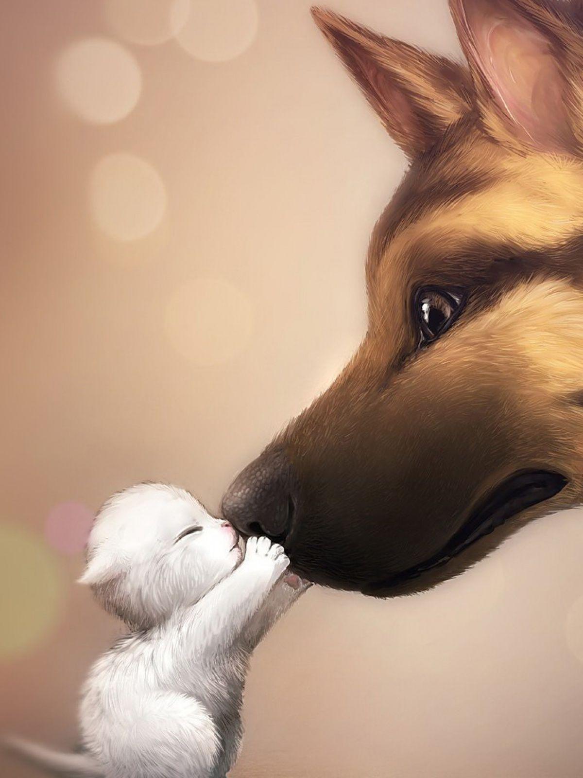 1200x1600 Love Cats Animals Mobile Wallpaper