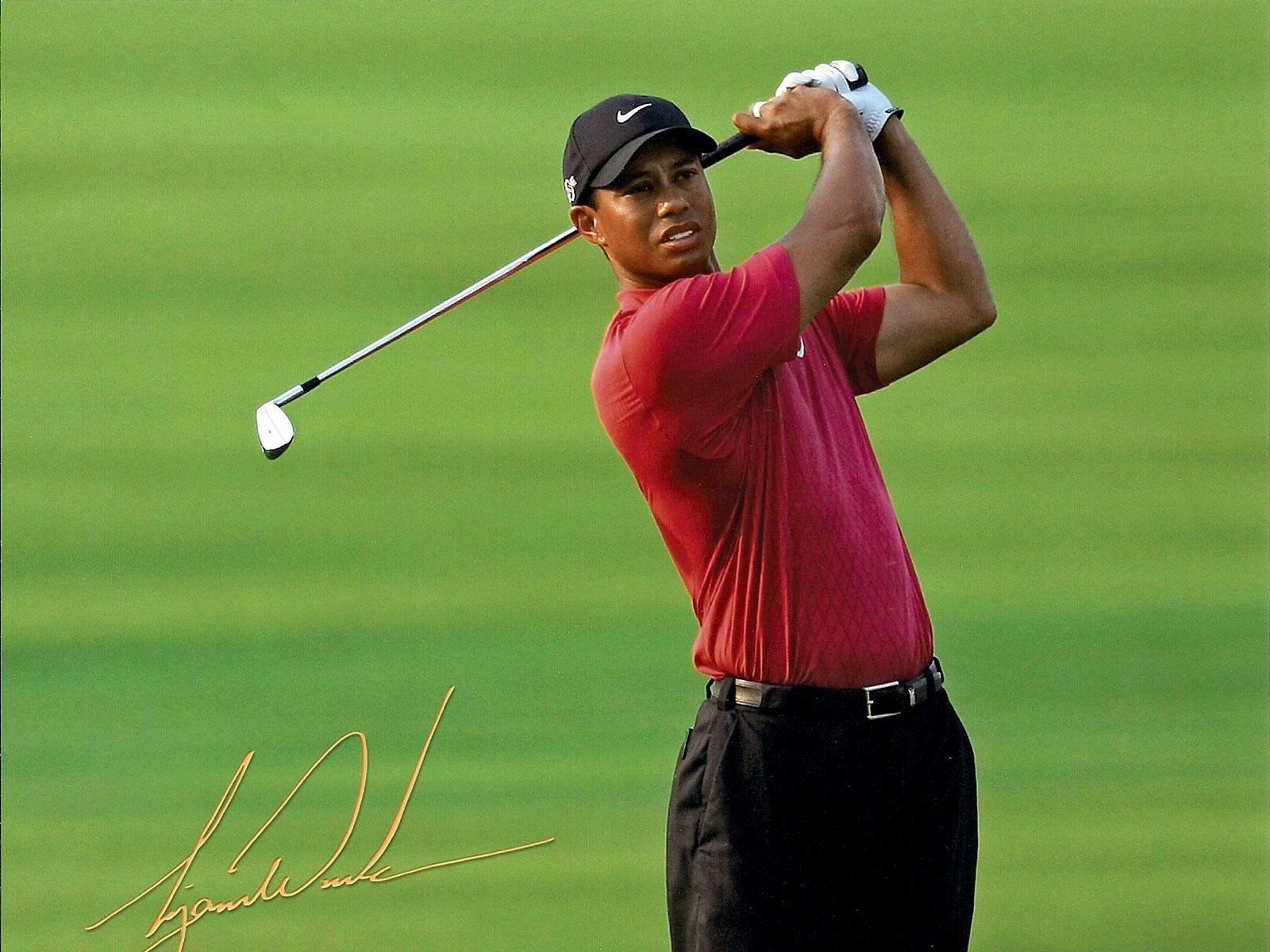 Tiger Woods Wallpaper  TubeWP