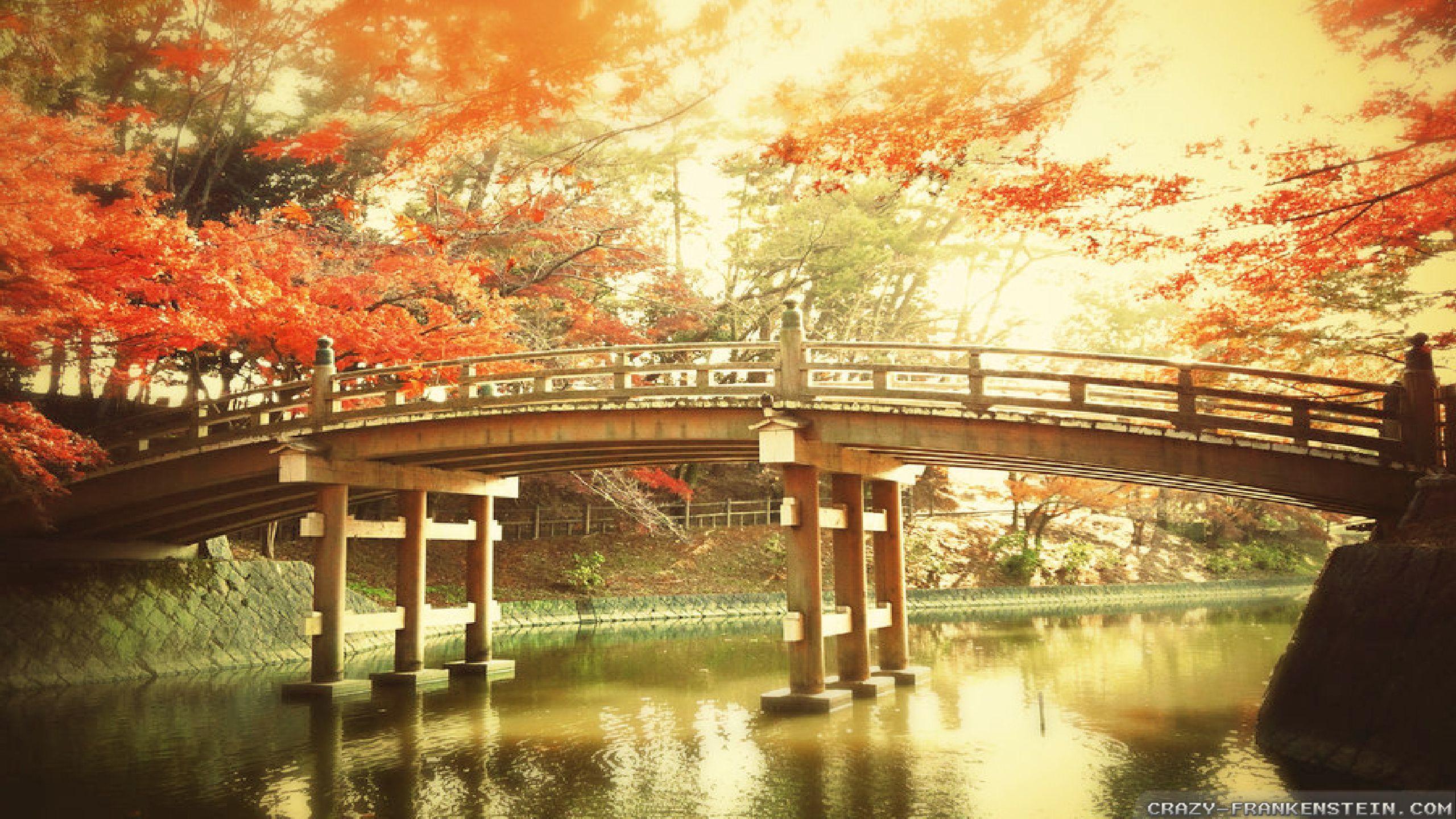 Japanese Autumn Desktop Wallpapers - Top Free Japanese Autumn Desktop