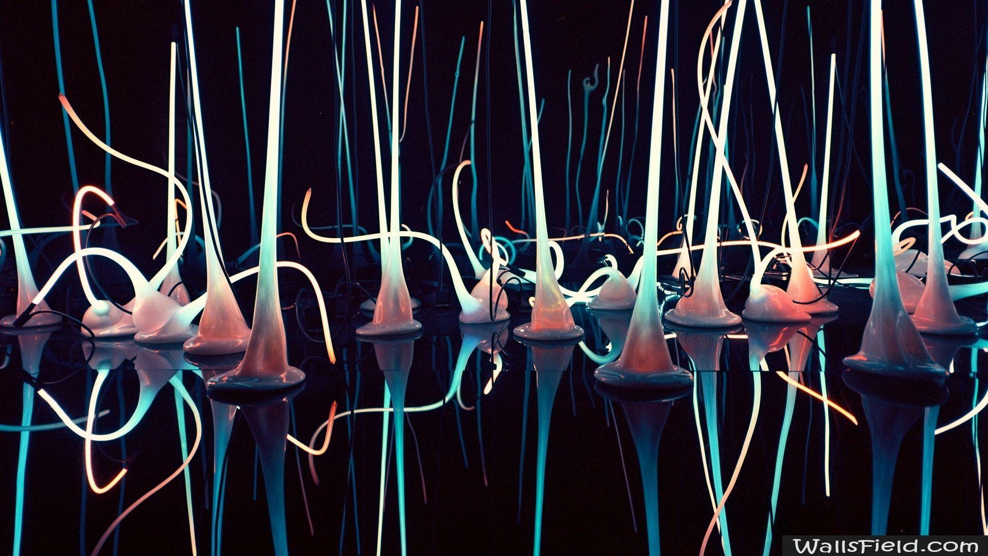1920x1080 Chihuly Garden And Glass