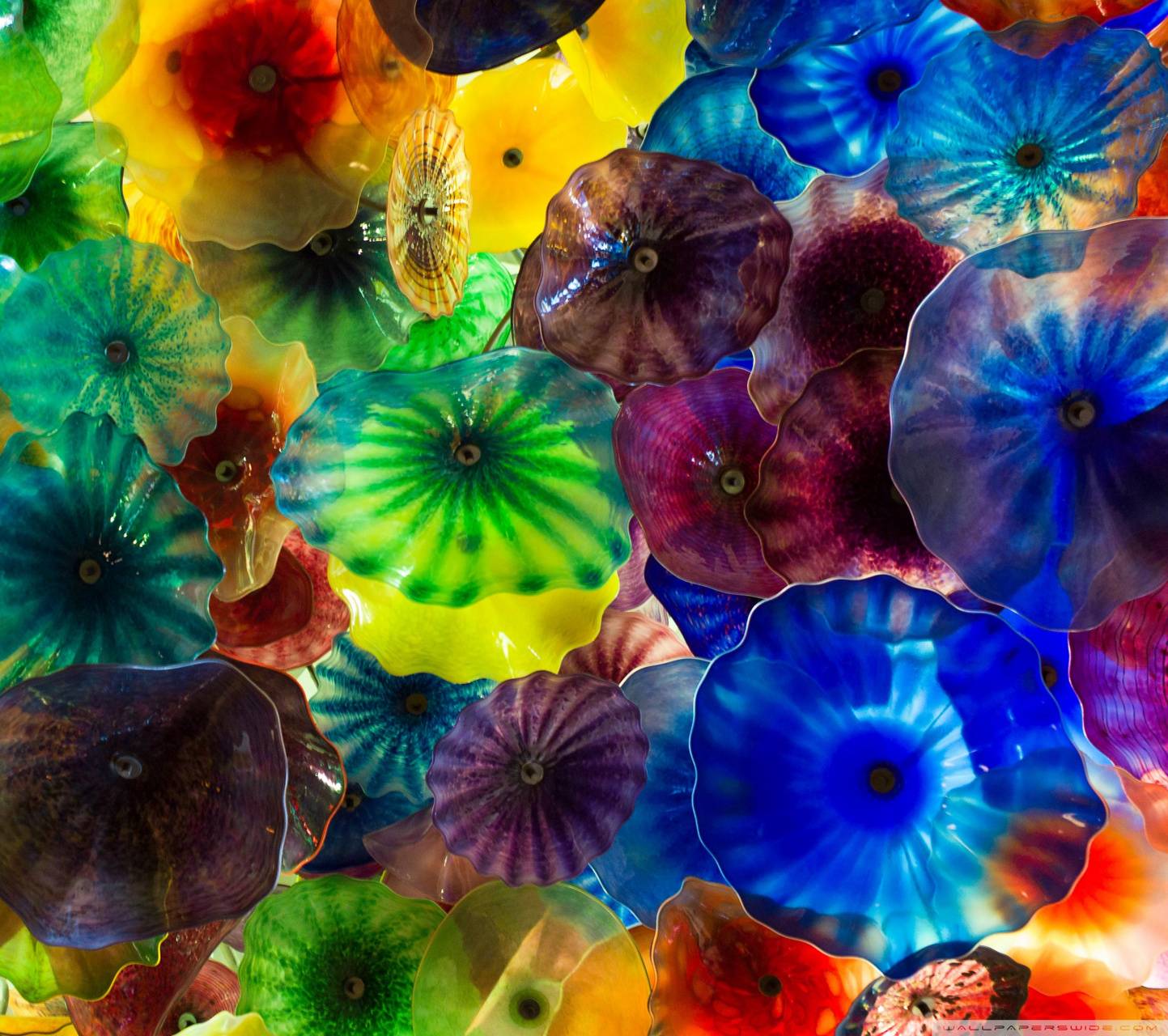 1443x1280 Chihuly Glass Wallpaper