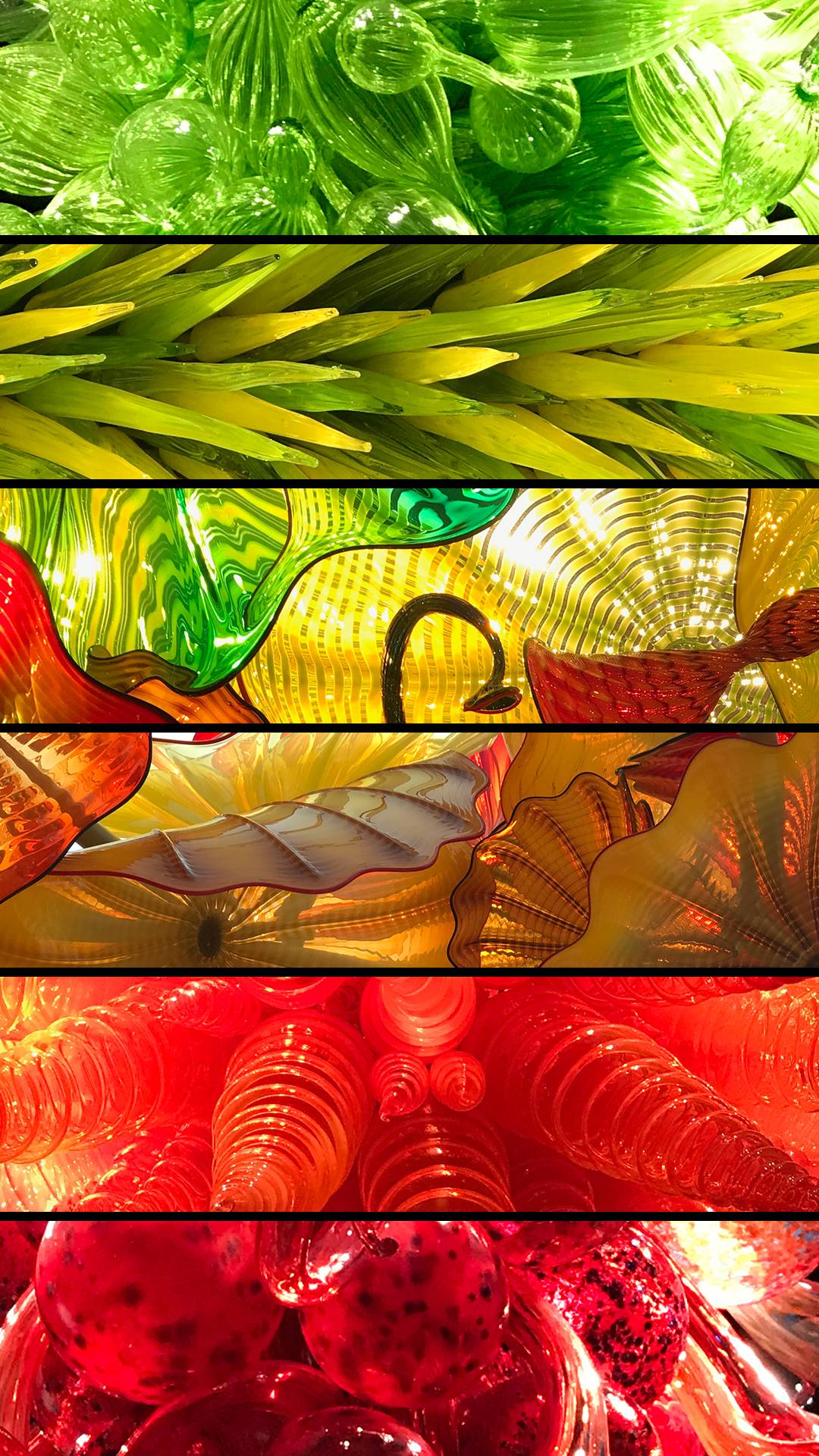 1080x1920 Went to the Chihuly Glass exhibit over Memorial Day weekend