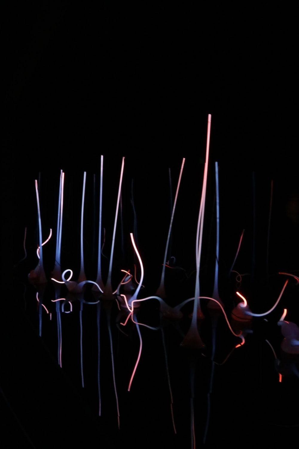 1000x1500 Chihuly Garden And Glass Museum Picture. Download Free