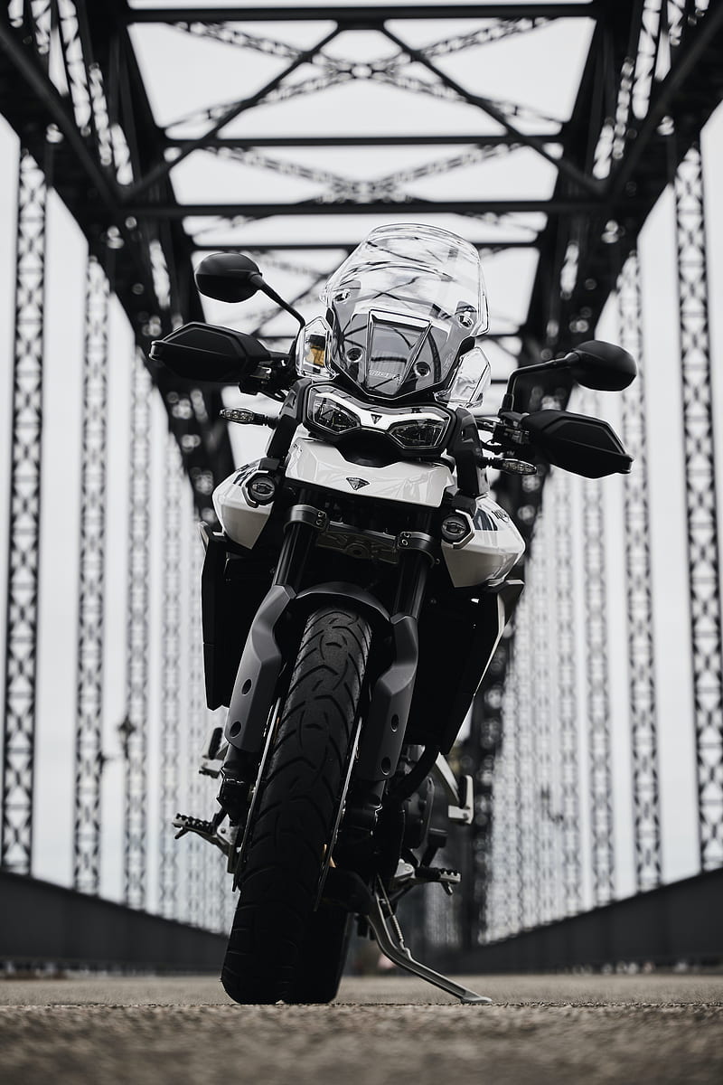 800x1200 Triumph tiger triumph, motorcycle, bike, front view, HD phone wallpaper