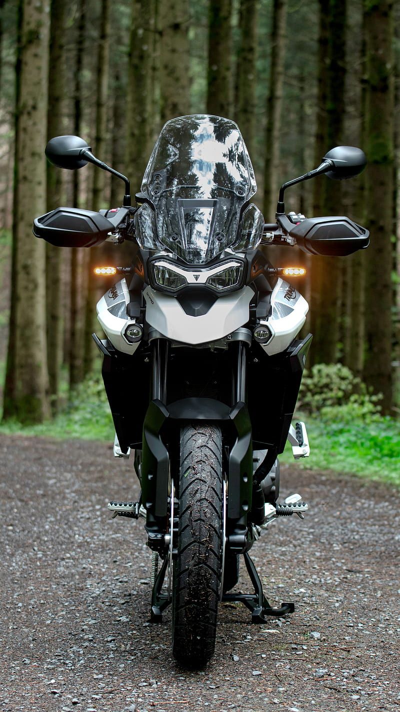 800x1423 HD triumph tiger wallpaper
