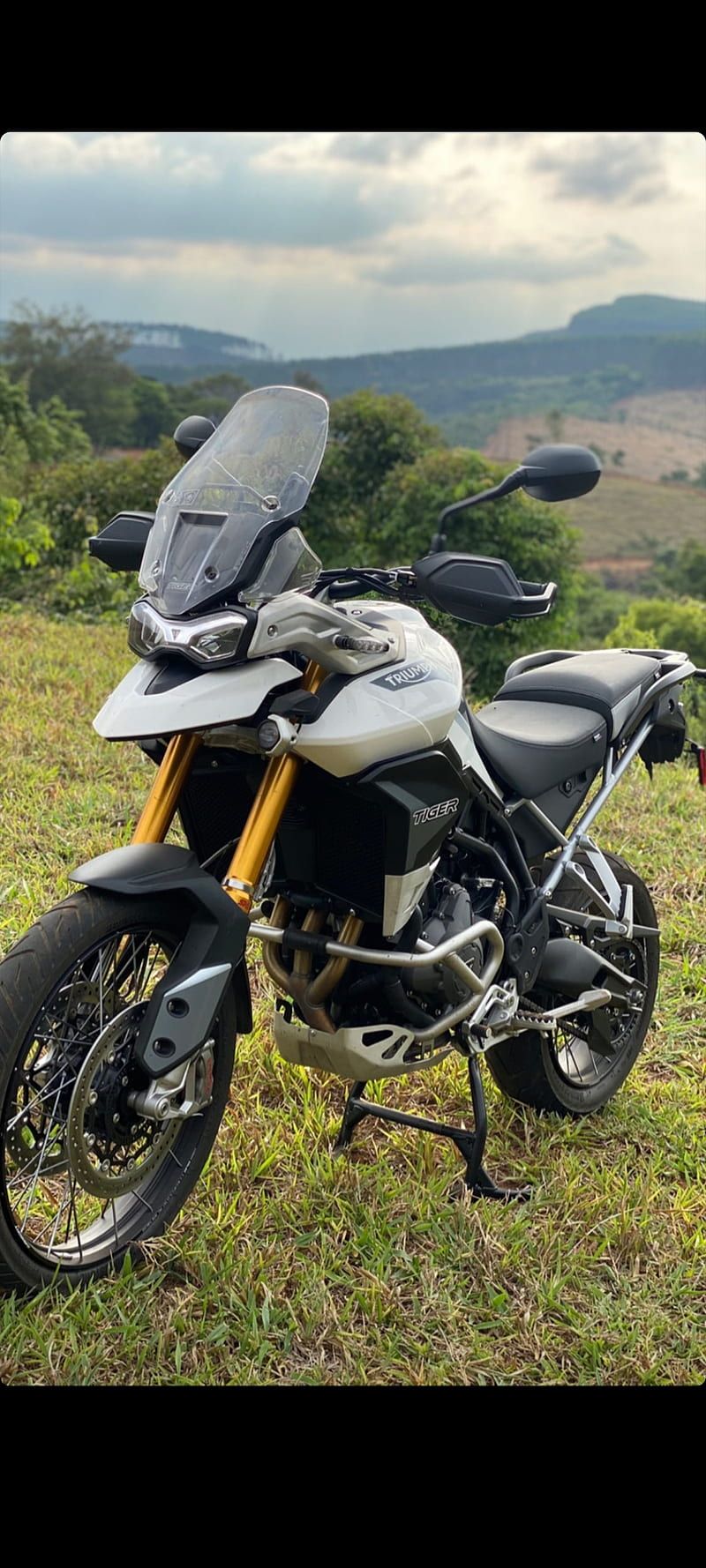 800x1778 Tiger moto, tigee, HD phone wallpaper