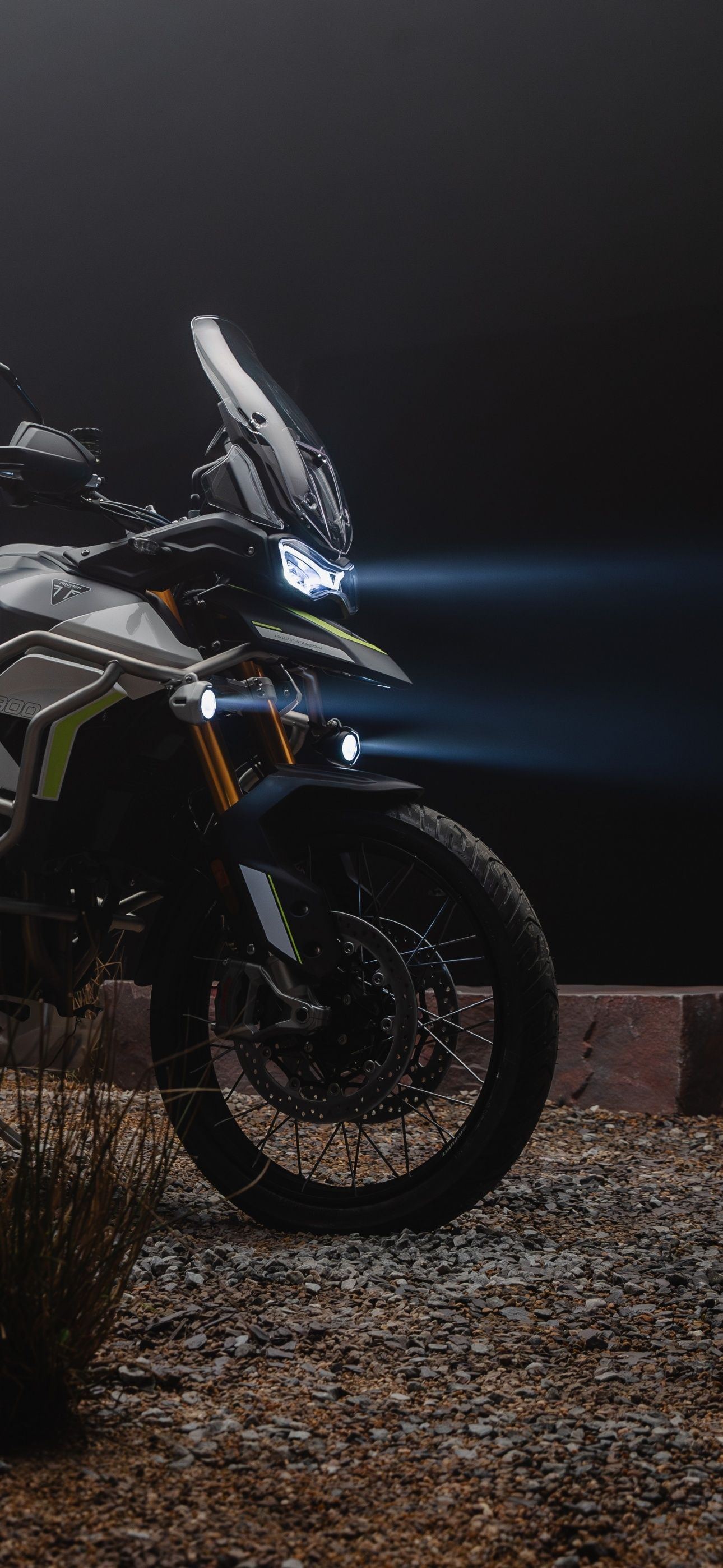1290x2796 Triumph Tiger 900 Rally Wallpaper 4K