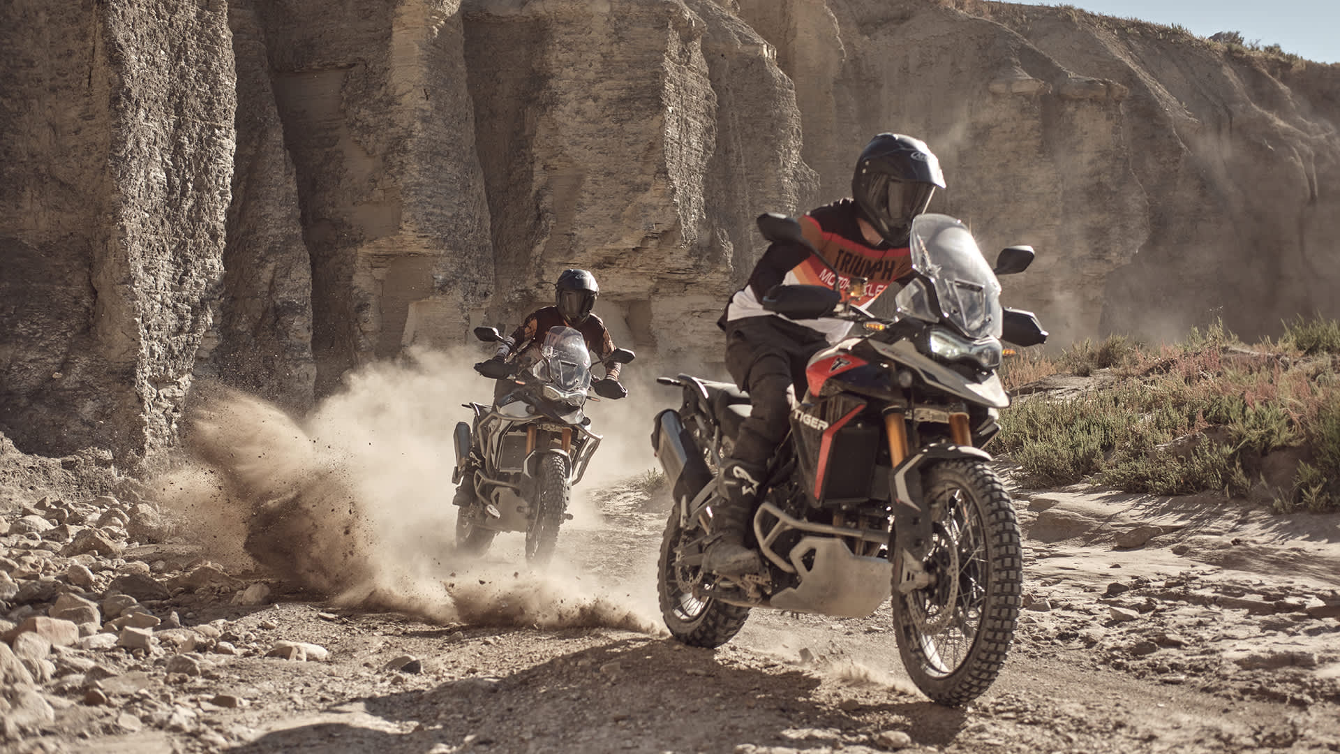 1920x1080 TIGER 900 RALLY PRO. For the Ride