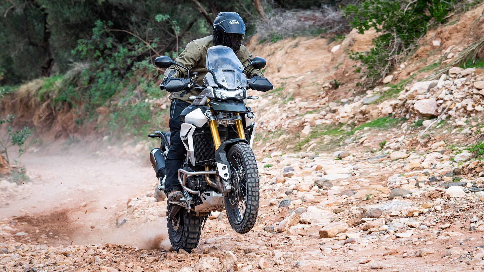1920x1080 Triumph Tiger 900 2020 Rally Pro Bike