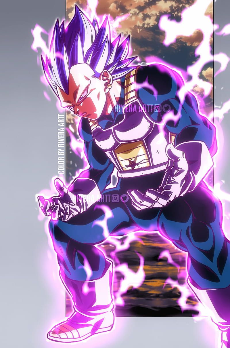 800x1209 Vegeta, Vegetta, Hakaishin, HD phone