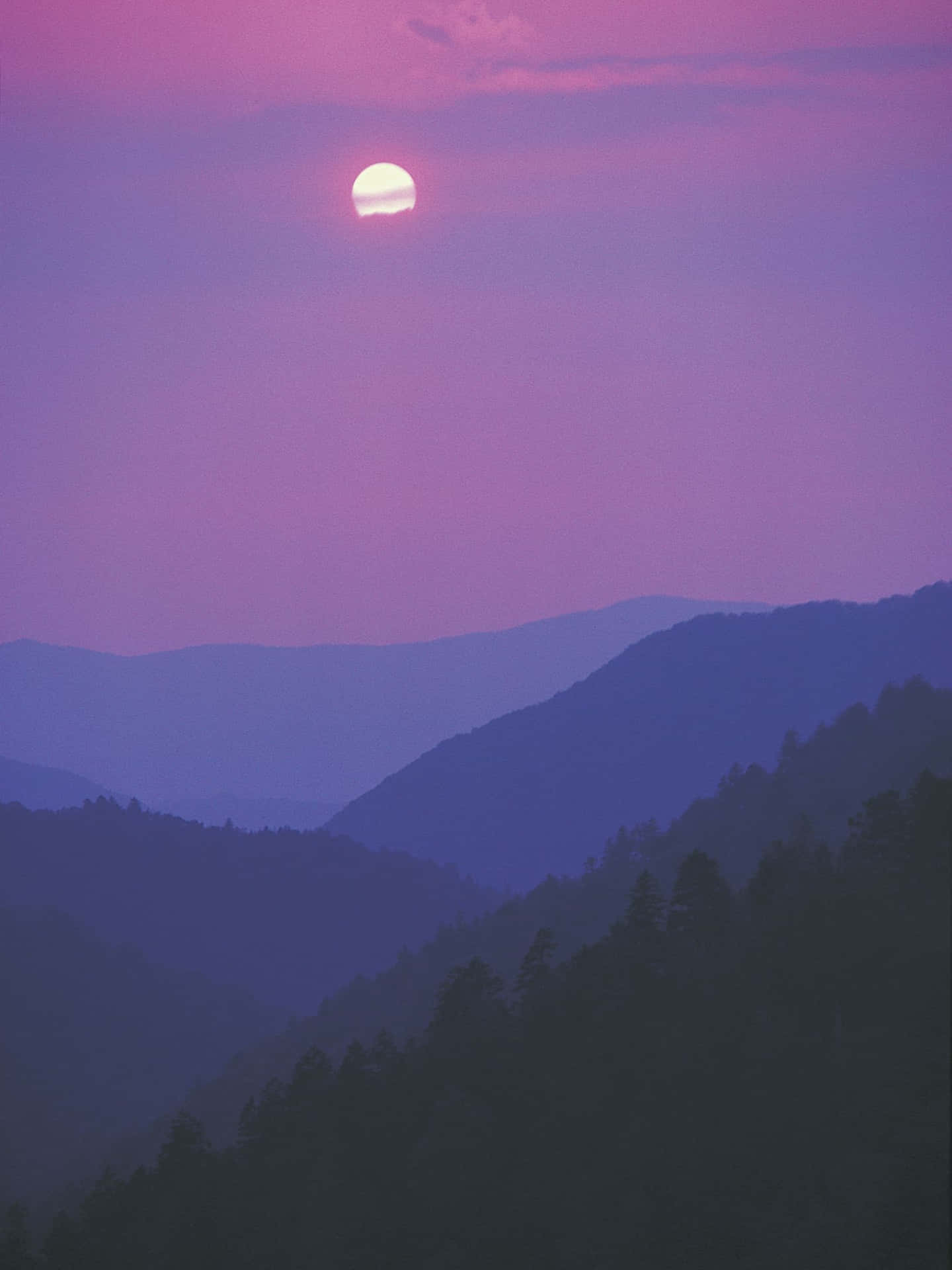1440x1920 1620x2160 Wallpaper
