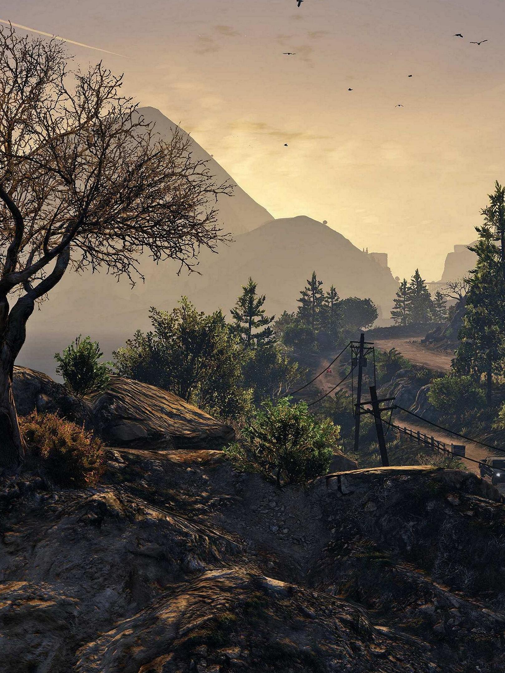 1620x2160 Wallpaper