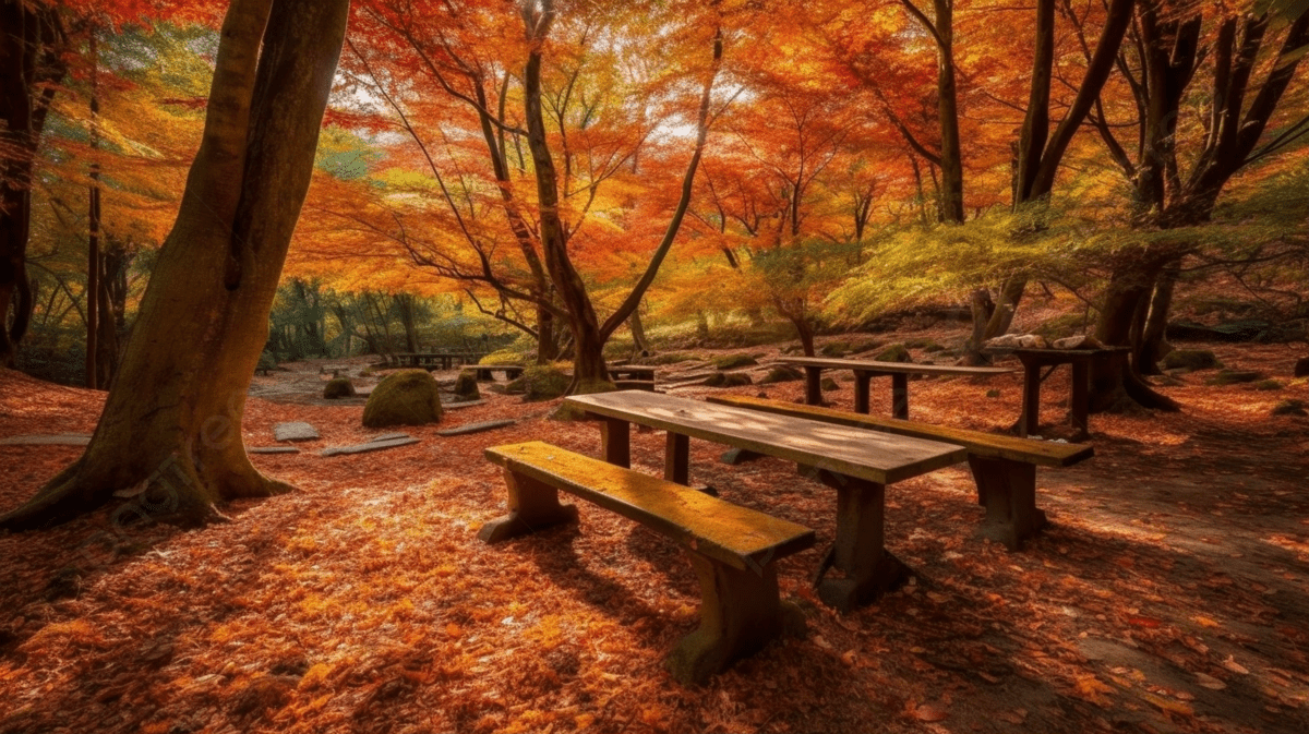 1200x673 Picnic Table Sits In The Japanese Wood
