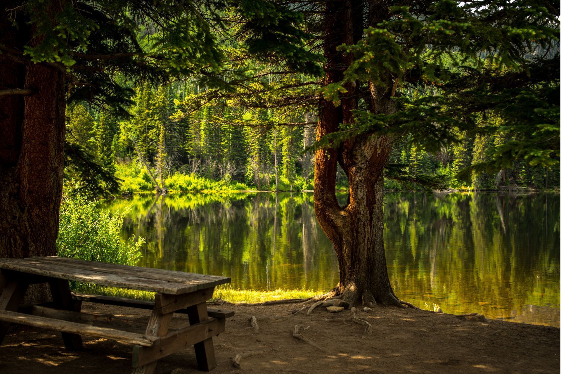 1920x1280 Easy Ways To Add Nature To Your Bedroom