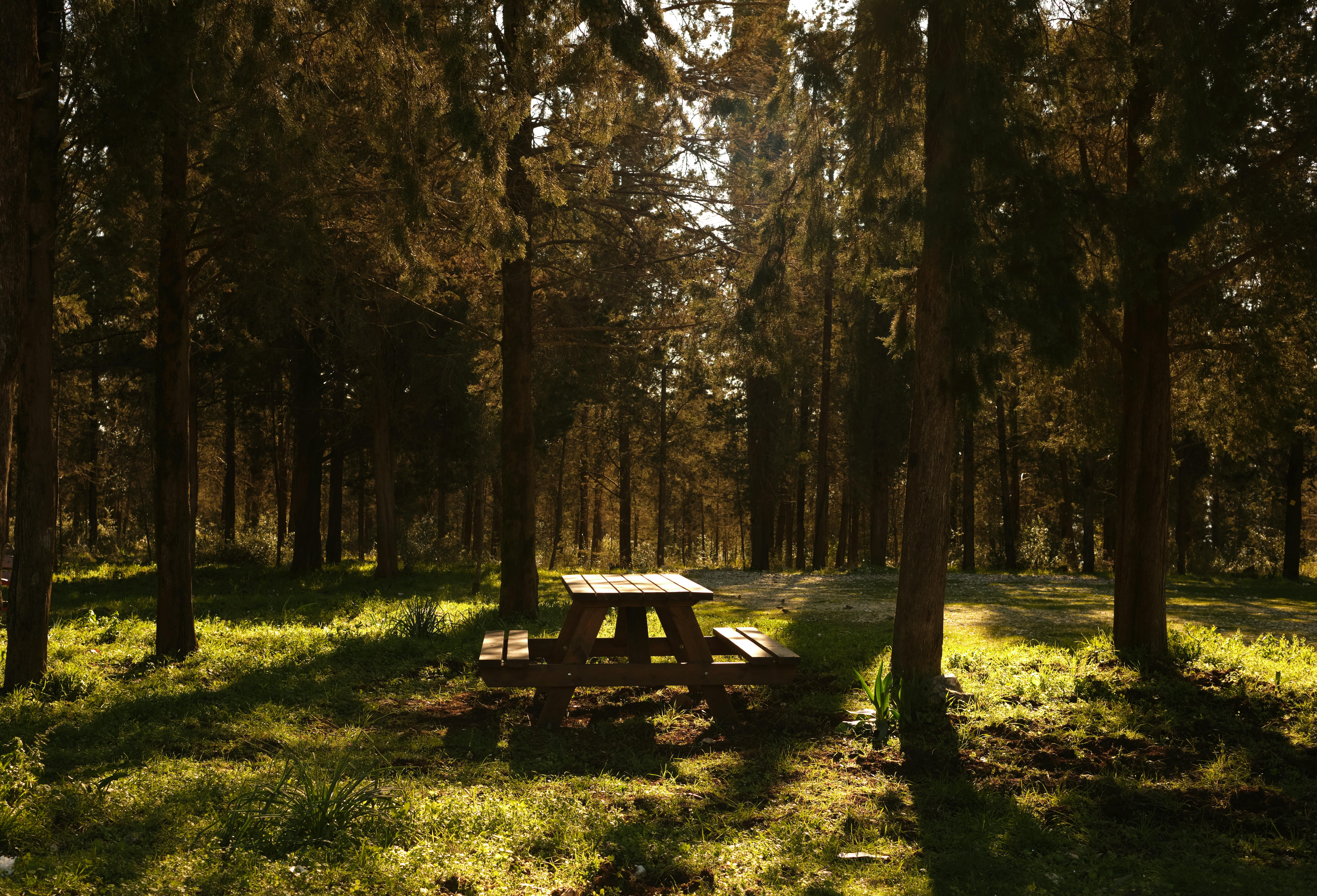 6041x4110 An Empty Bench in a Park · Free