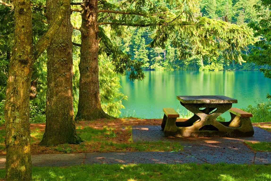 1148x768 Picnic Background