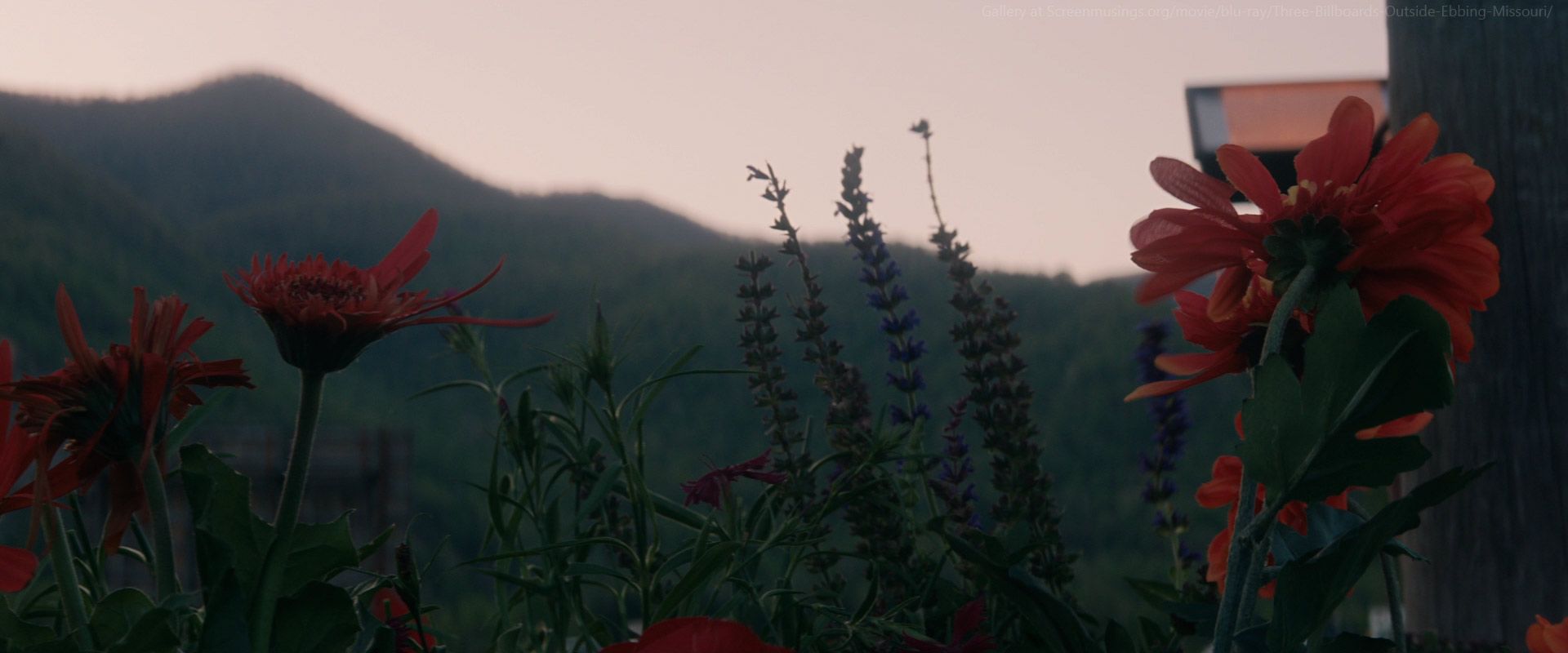 1920x800 Three Billboards Outside Ebbing
