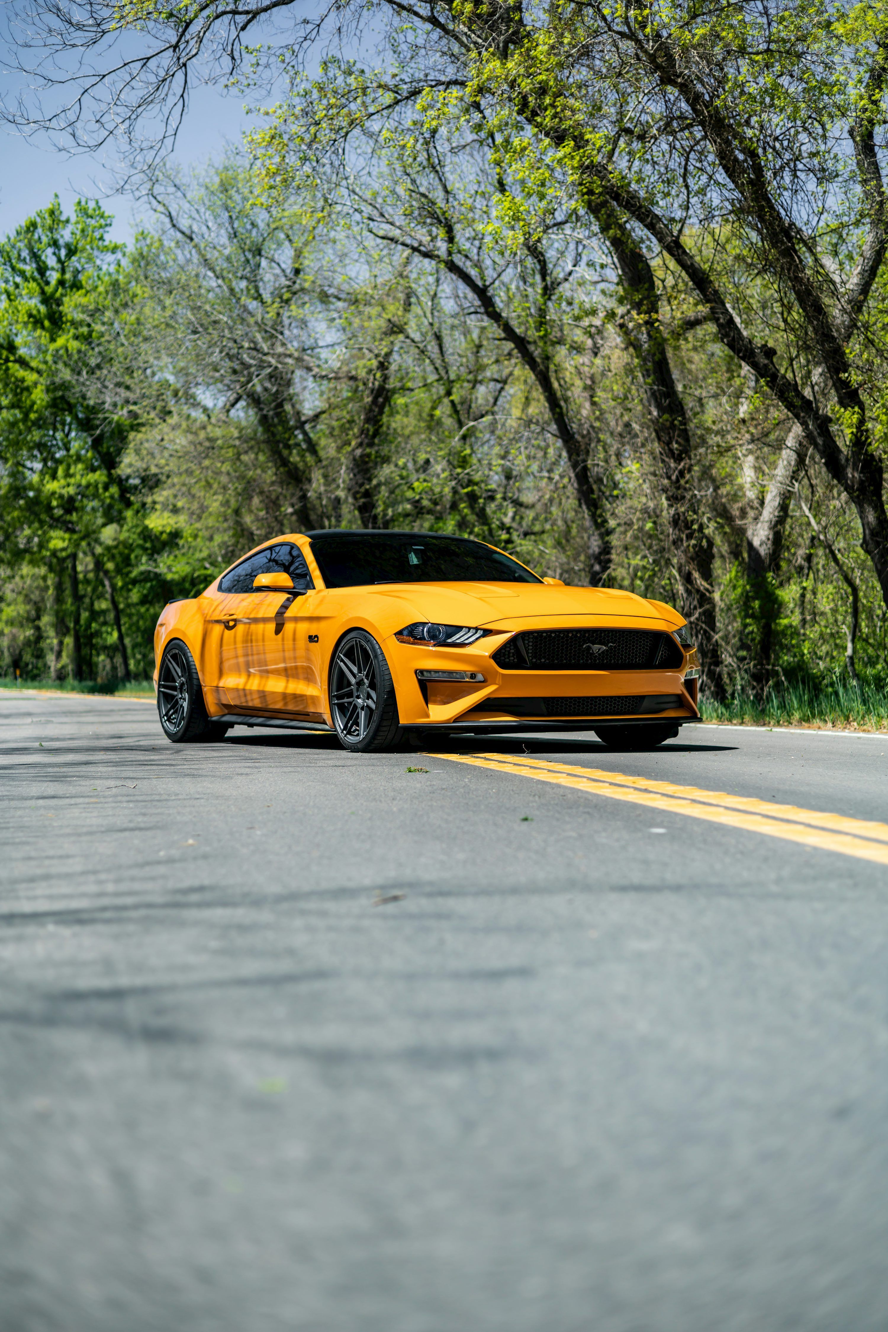 3000x4500 Mustang Wallpaper: Free HD Download