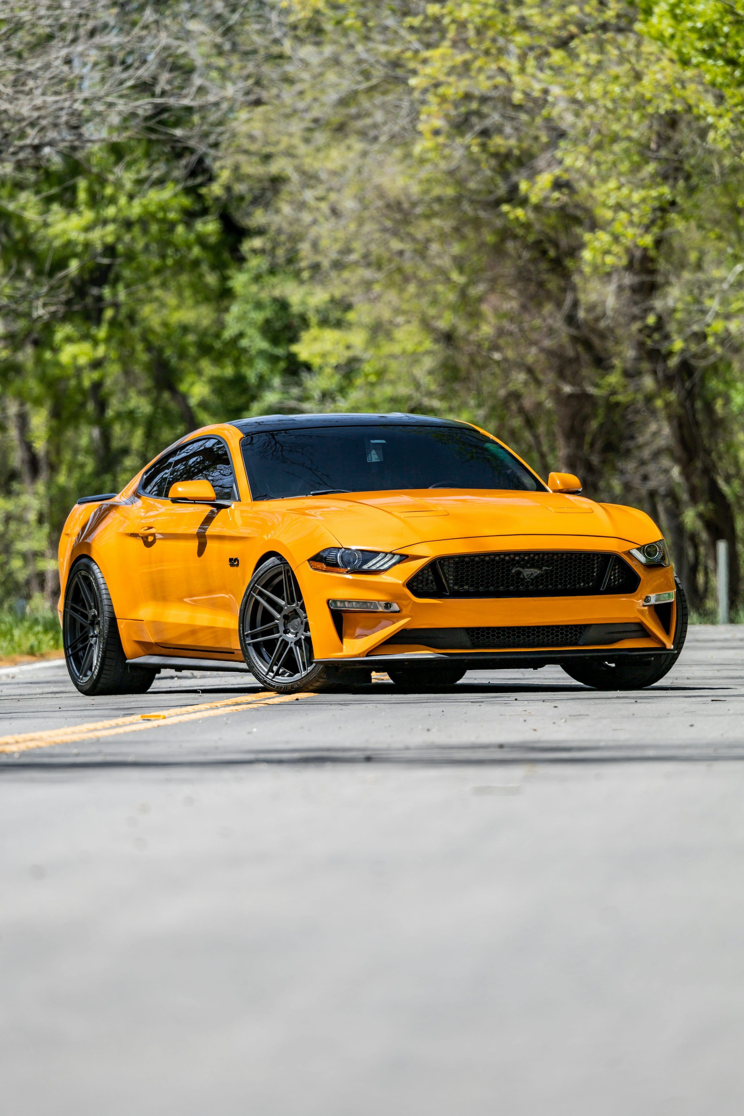 3000x4500 Mustang Wallpaper: Free HD Download