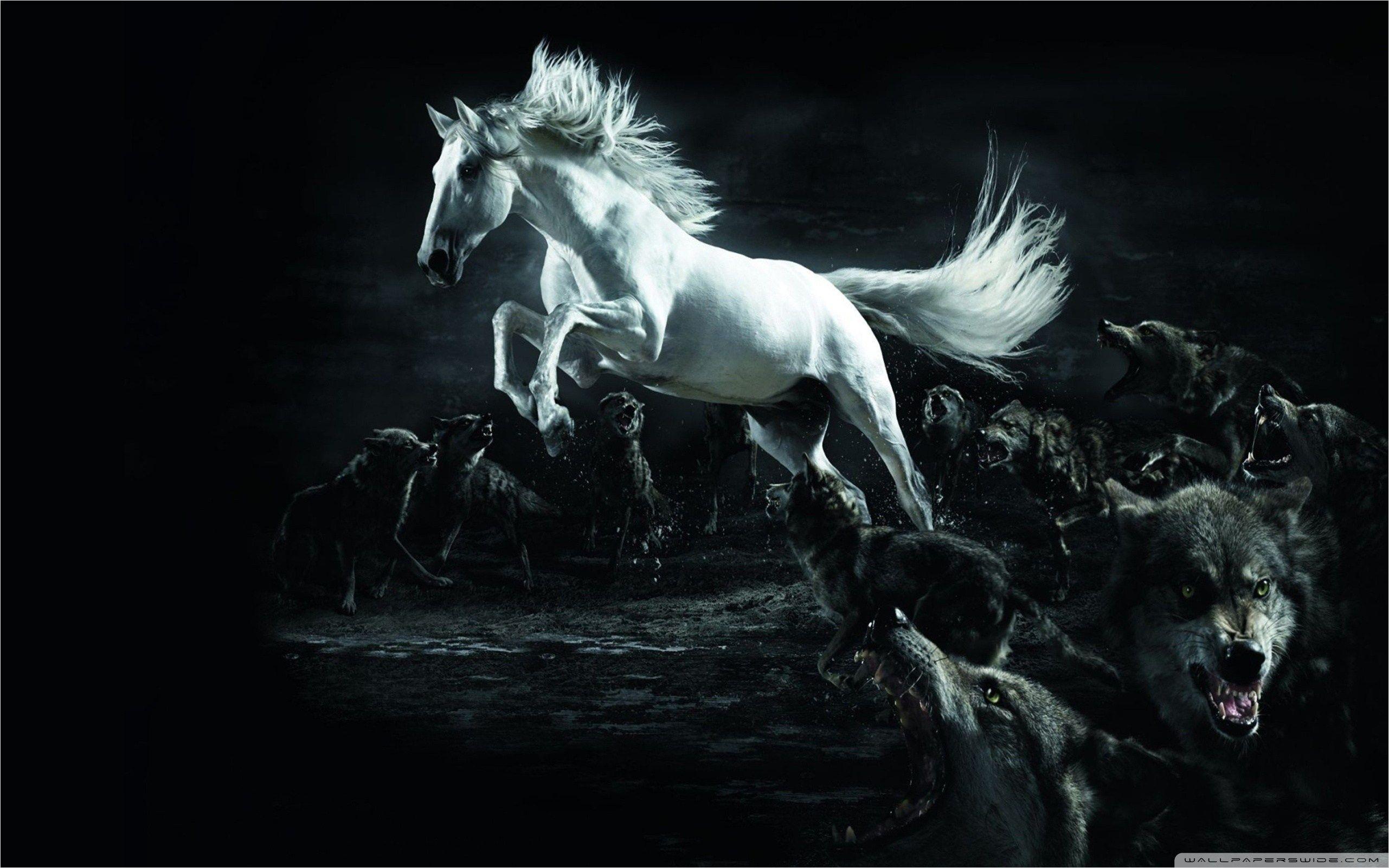 Horse and Wolf Wallpapers - Top Free Horse and Wolf Backgrounds -  WallpaperAccess