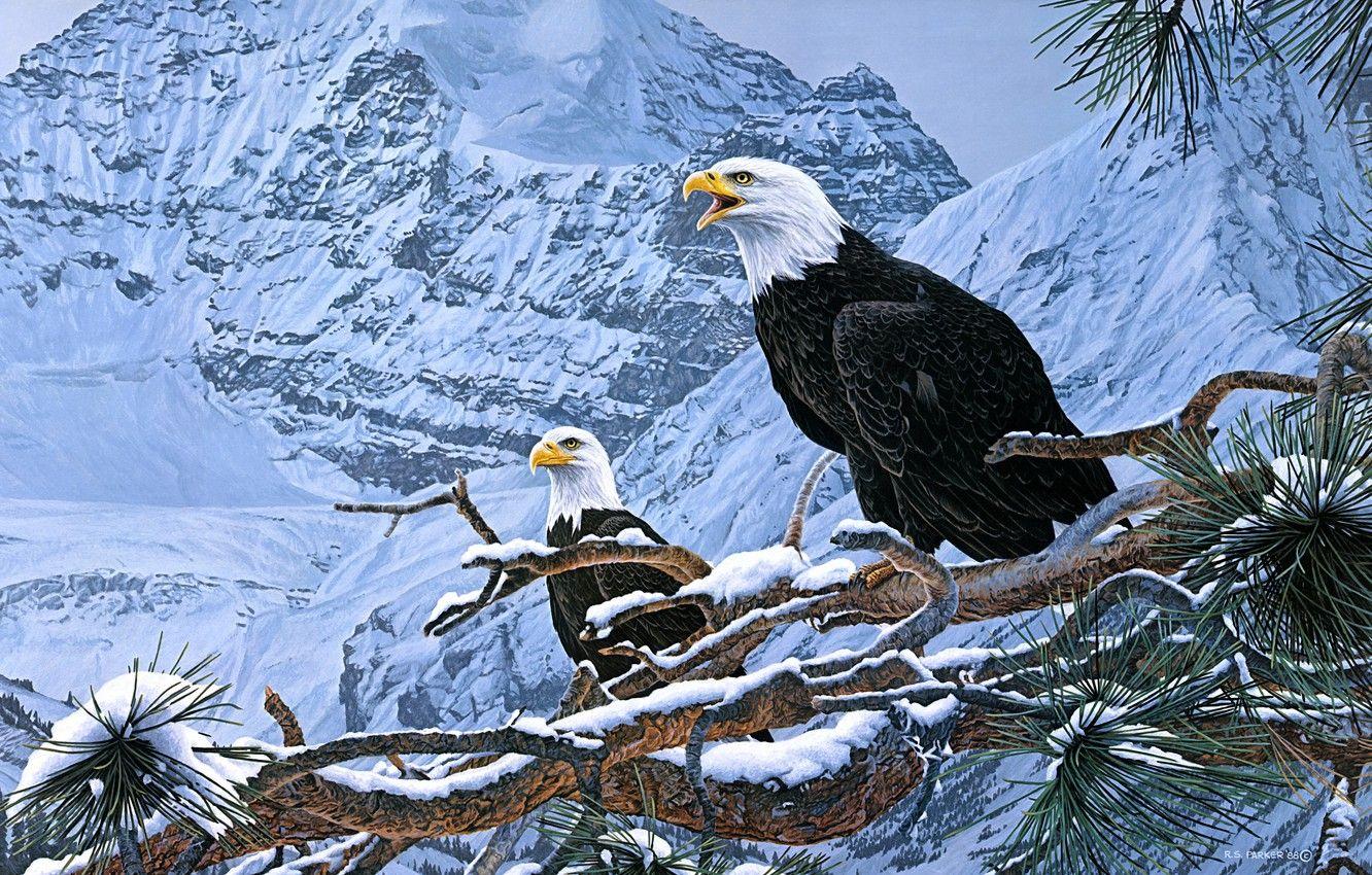 1332x850 Wallpaper winter, snow, mountains, birds, branches, nature, eagle, figure, picture, art, pair, wolves, painting, needles, the eagles, two image for desktop, section живопись
