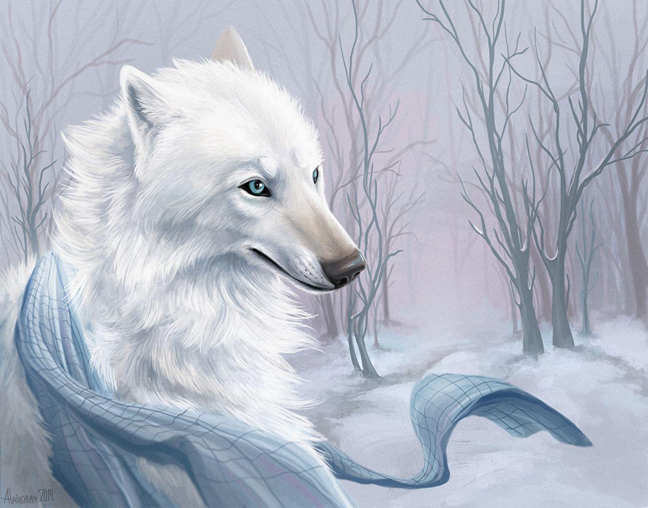 1306x1024 Image Wolves Beautiful White animal Painting Art