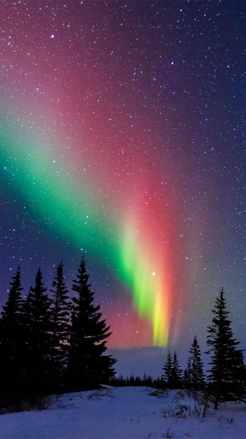 850x1512 Southern lights HD wallpaper
