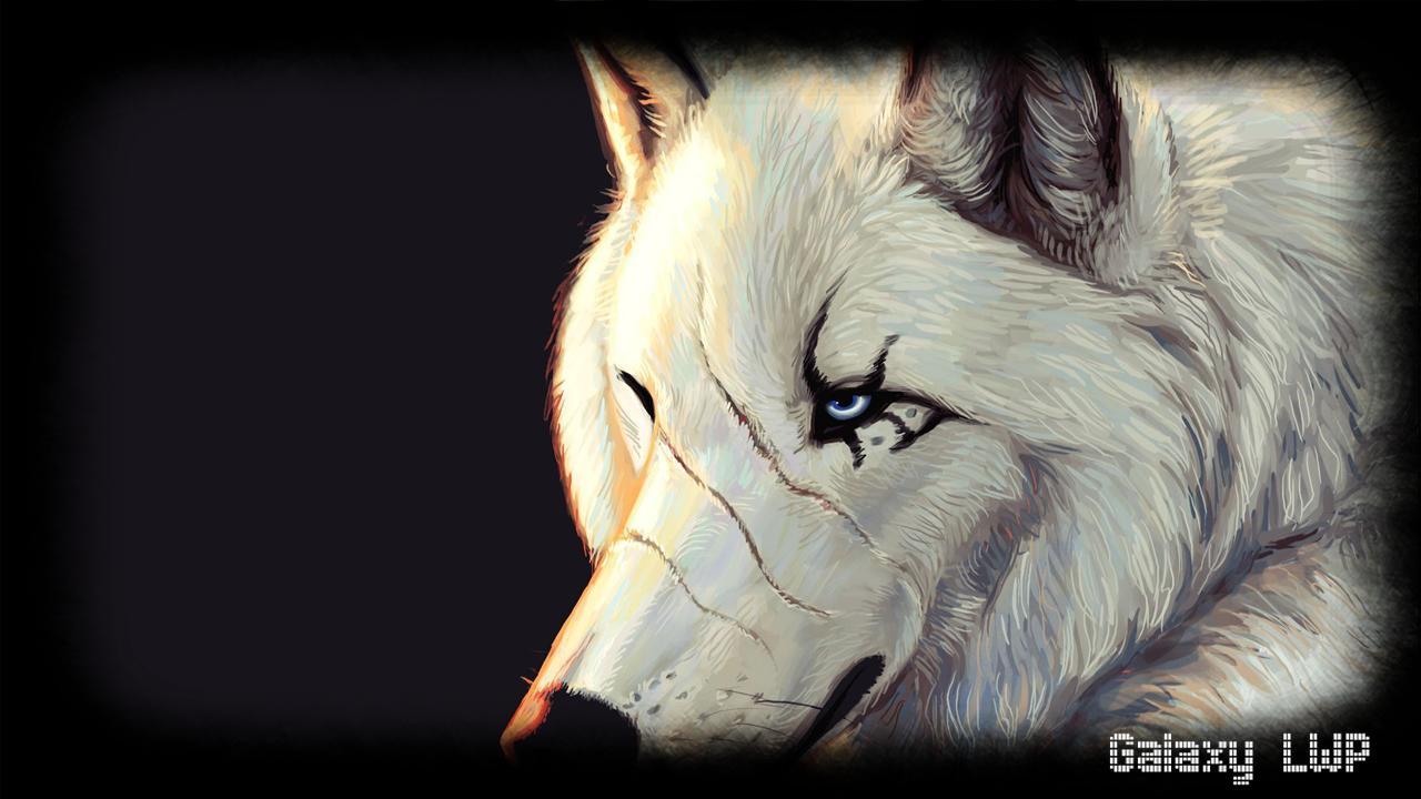 1280x720 White Wolf Wallpaper for Android