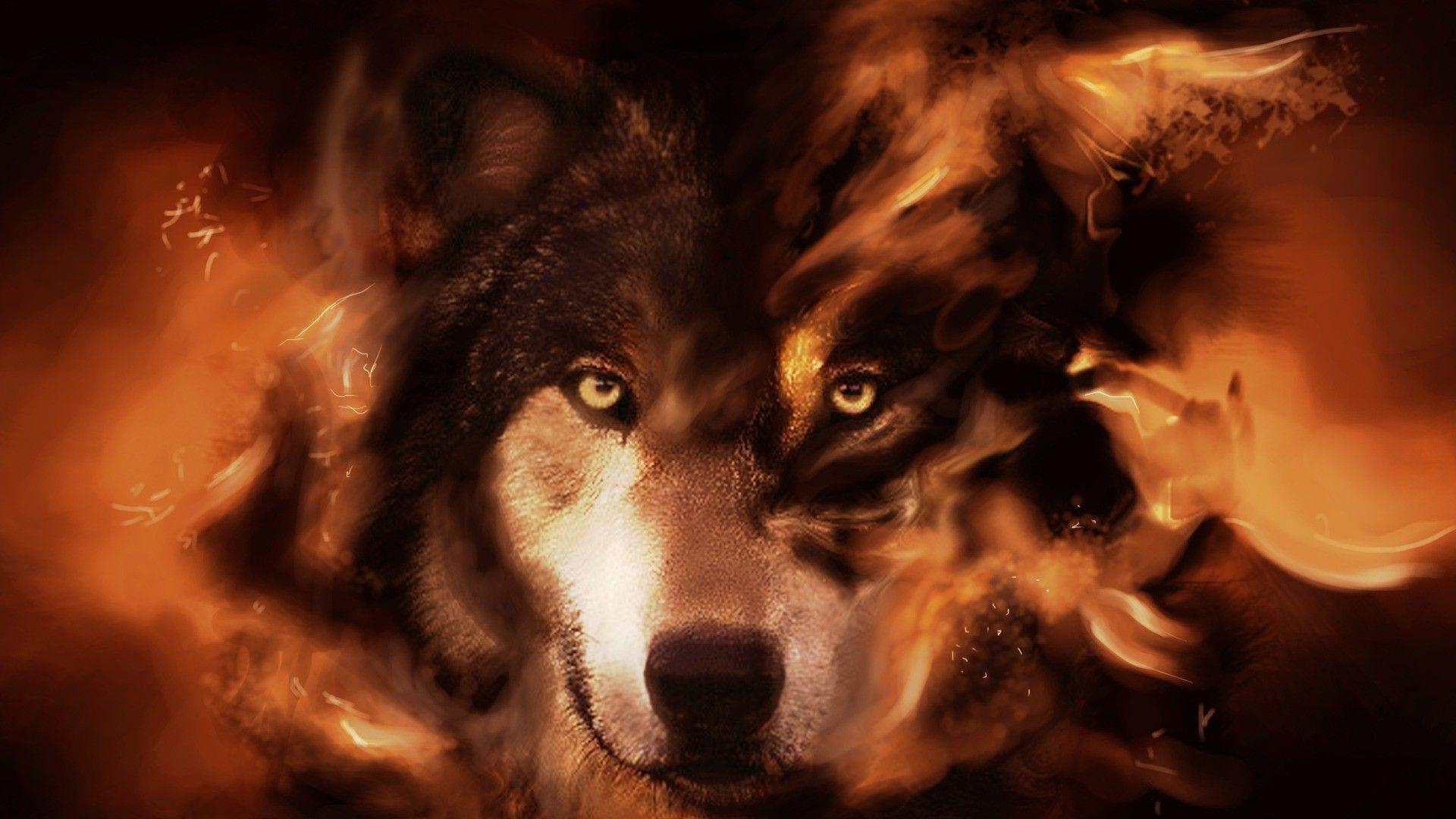 1920x1080 Fire Wolf hình nền