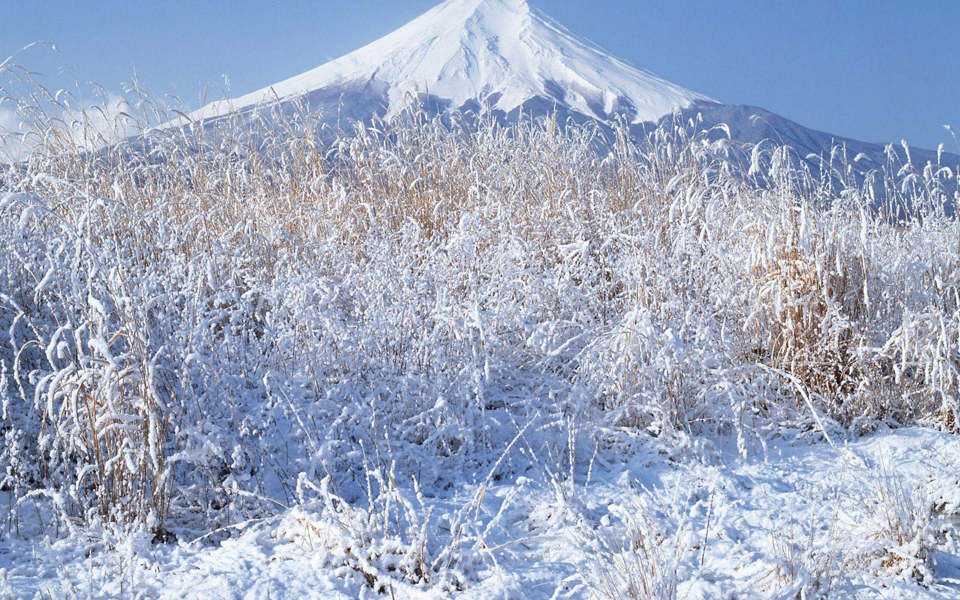1920x1200 snow peace, fuji, flower background, winter, download, mount, free