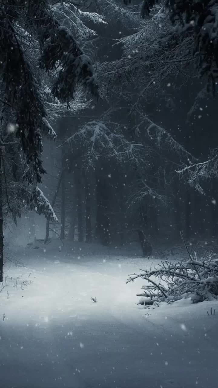 720x1280 Cool forest with snow in winter iphone