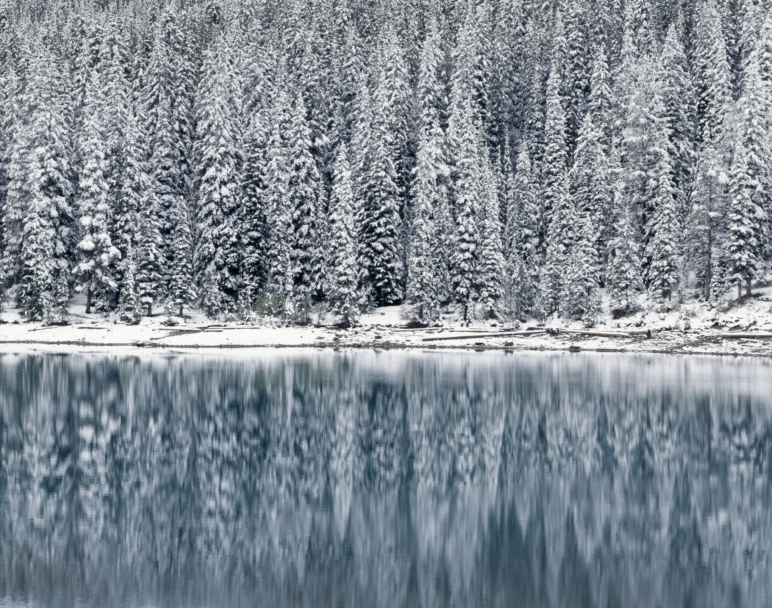 3000x2362 Snow wallpaper for your wall ➡️ Choose