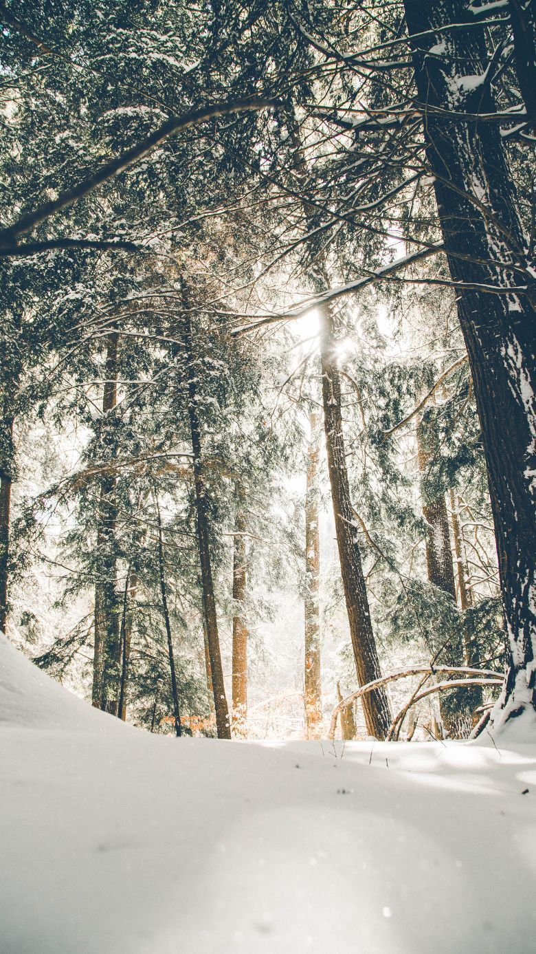 780x1387 Winter Wallpaper For IPhone