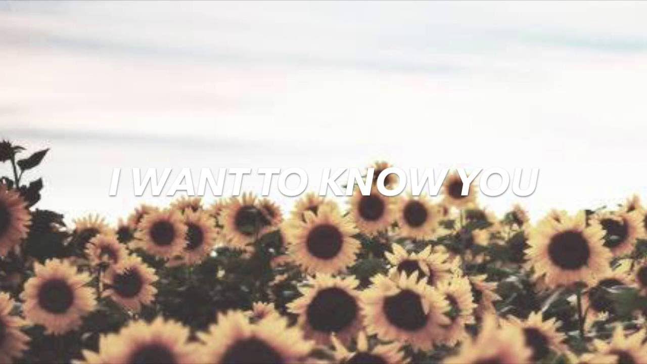 1280x720 Hipster Sunflower. Gardening: Flower and Vegetables