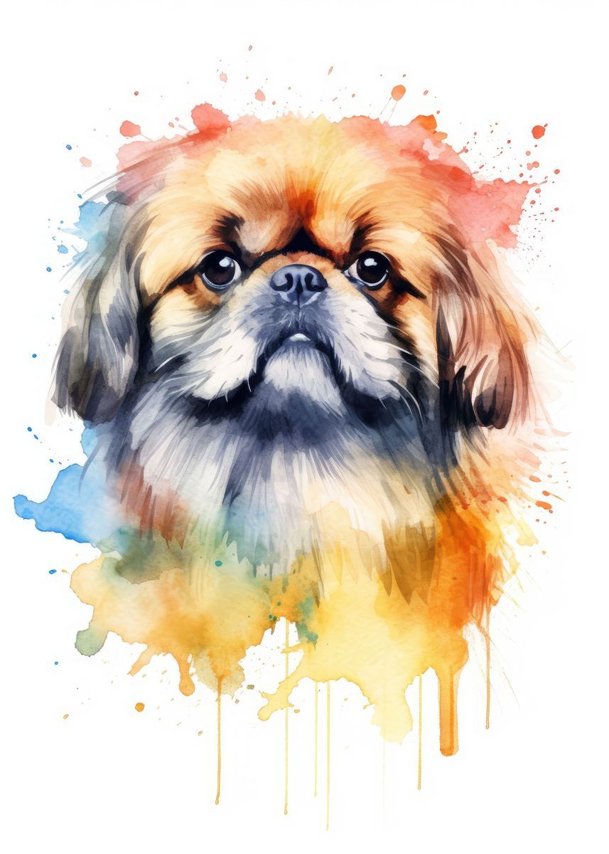 857x1200 watercolor pekingese dog' Poster