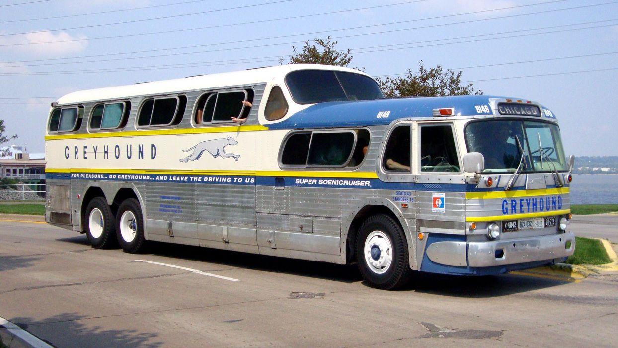 1244x700 Bus Greyhound Bus wallpaperx1080