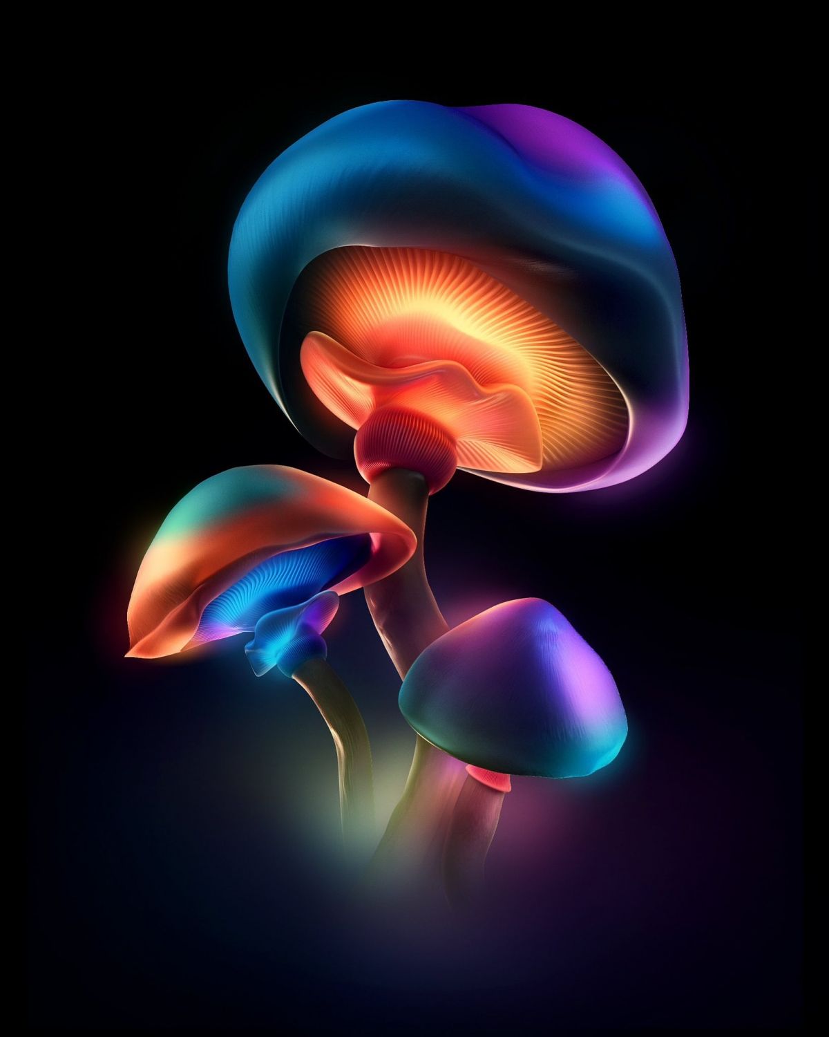 1200x1500 Mushrooms Wallpaper