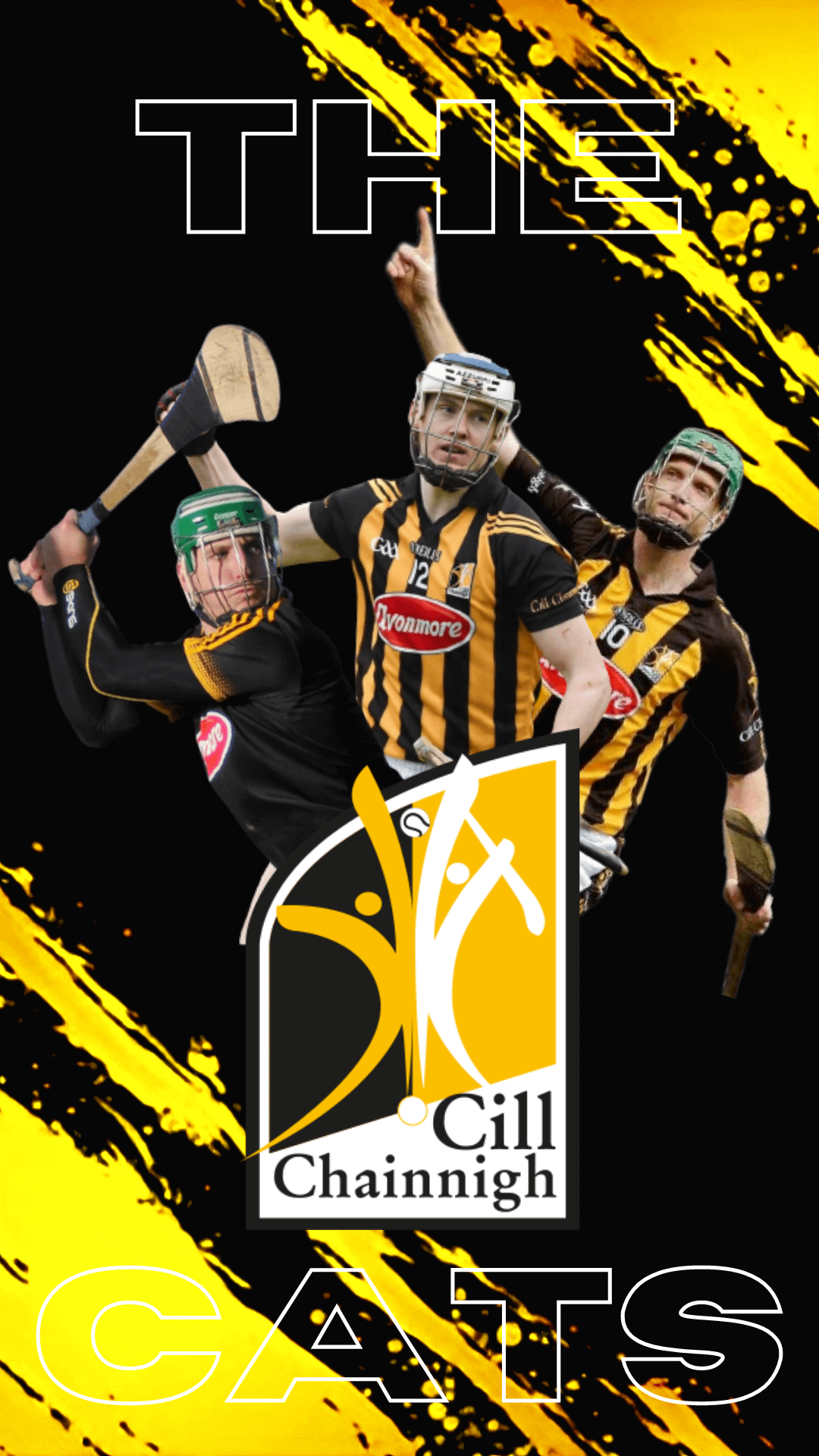 1080x1920 Another request: A kilkenny wallpaper