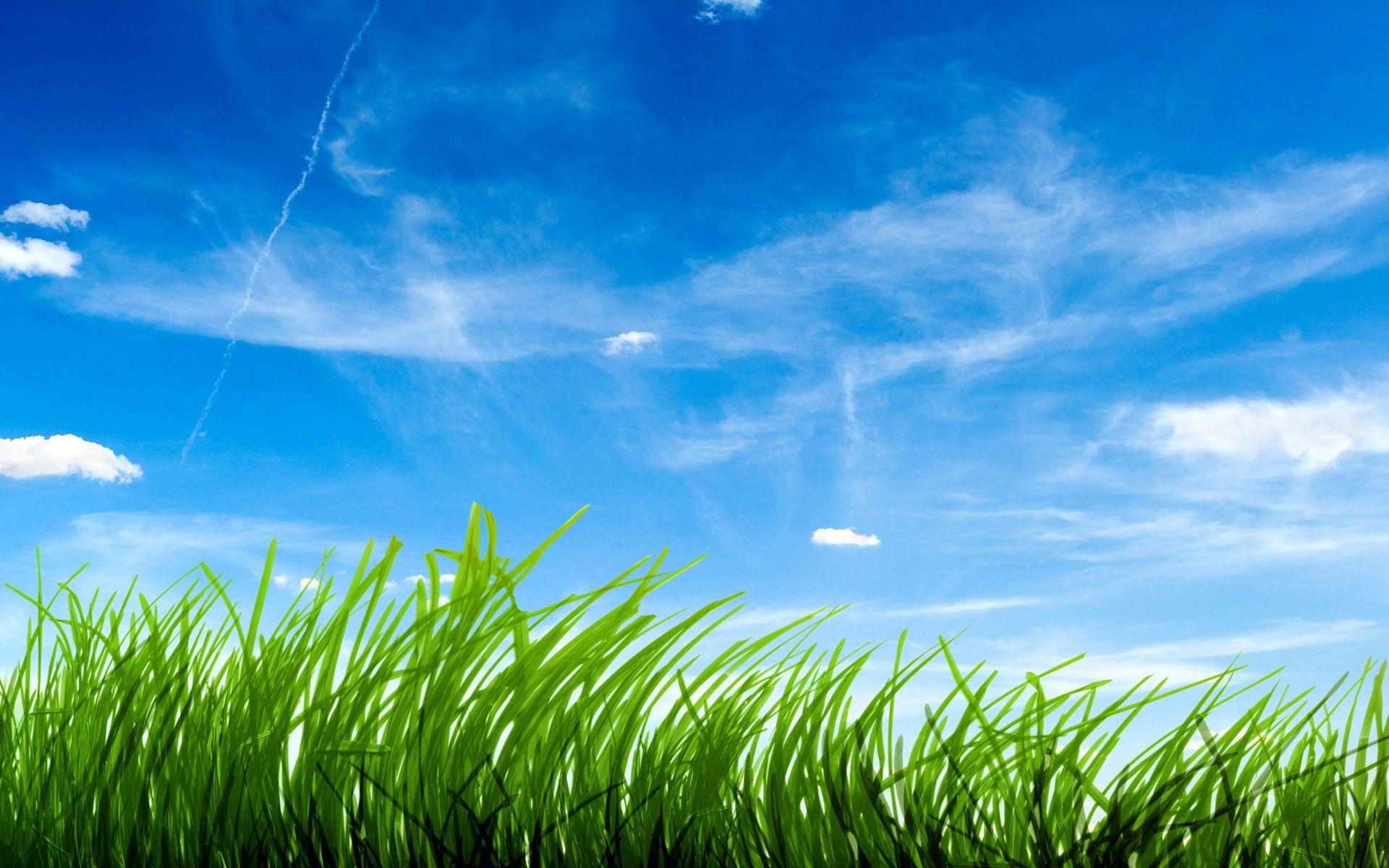 1920x1200 Blue Sky Green Grass # 1920x1200. All For Desktop