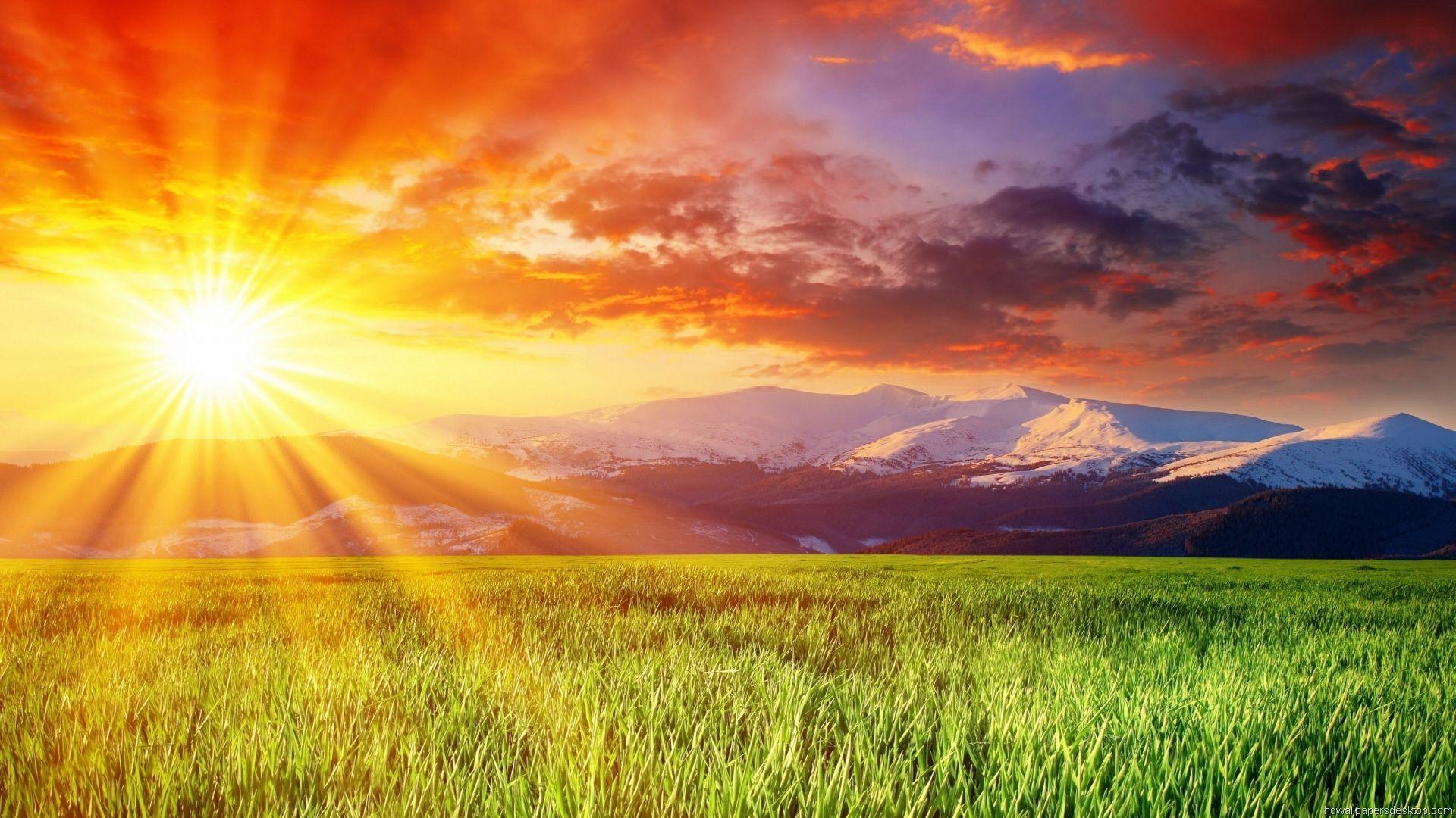 1920x1080 Free download Meadow Sunrise HD Desktop Wallpaper HD Desktop