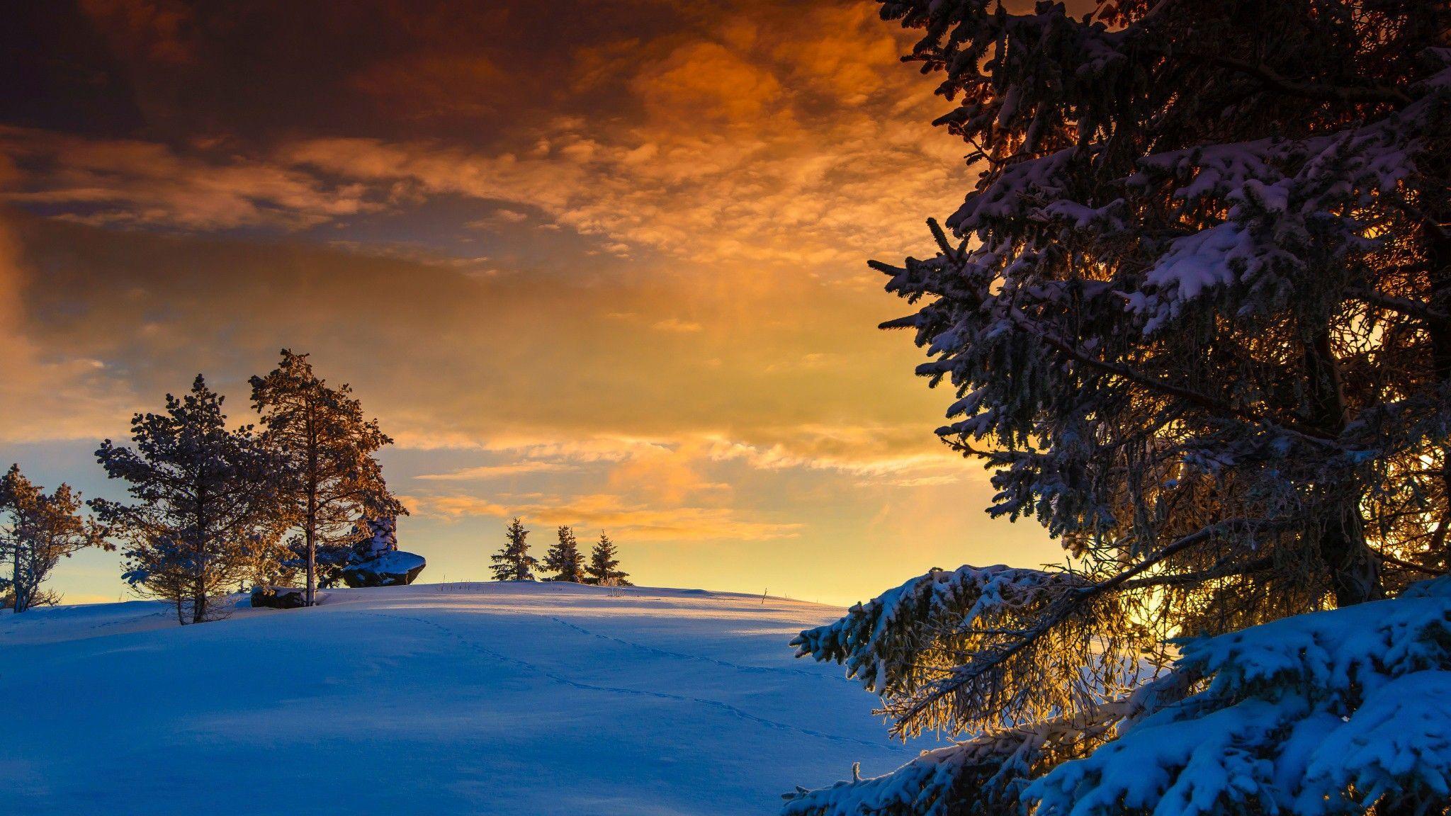 2048x1152 Wallpaper Winter, trees, house, sunrise, snow 2560x1440